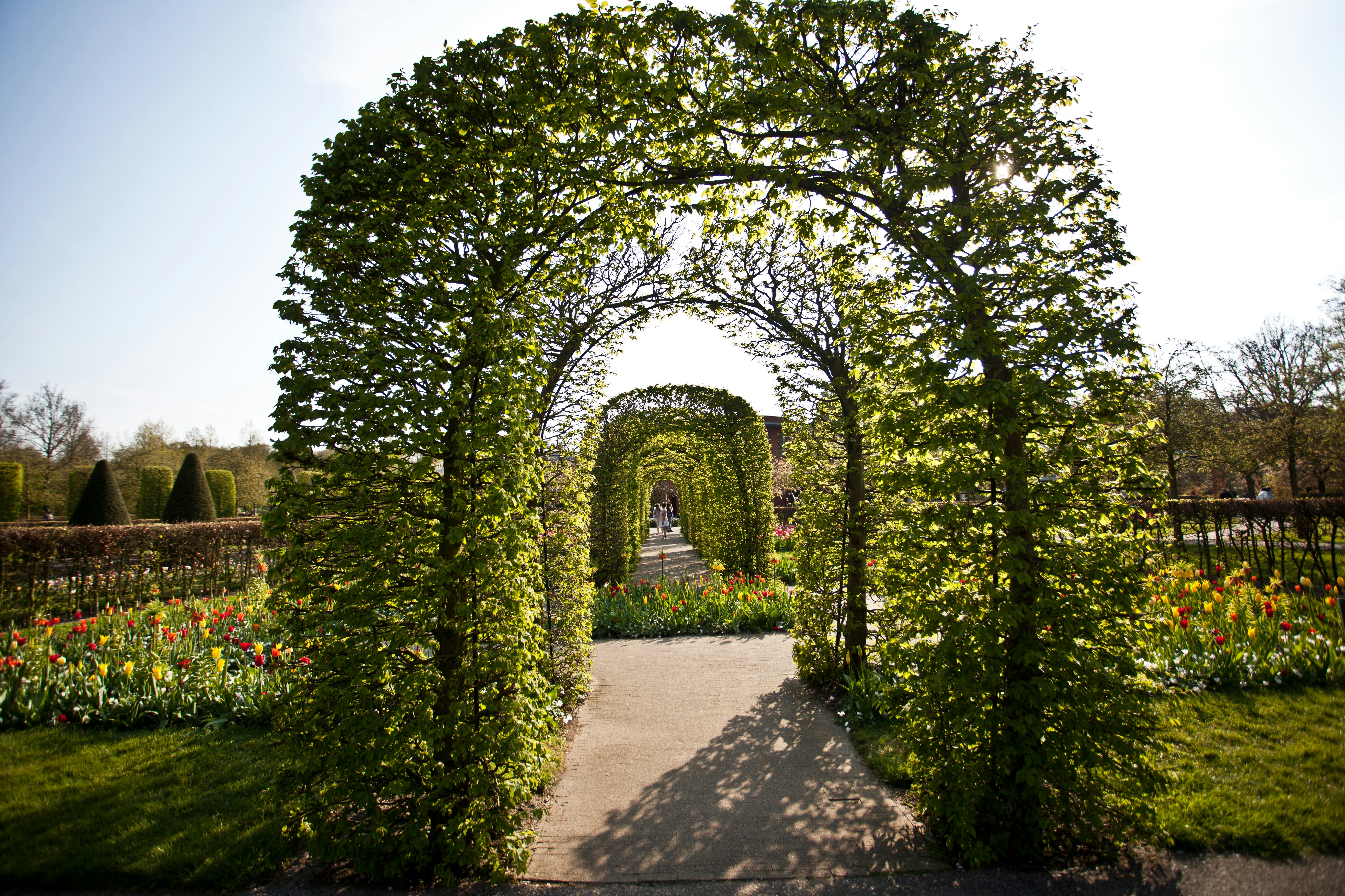 Photo by serg_bataev