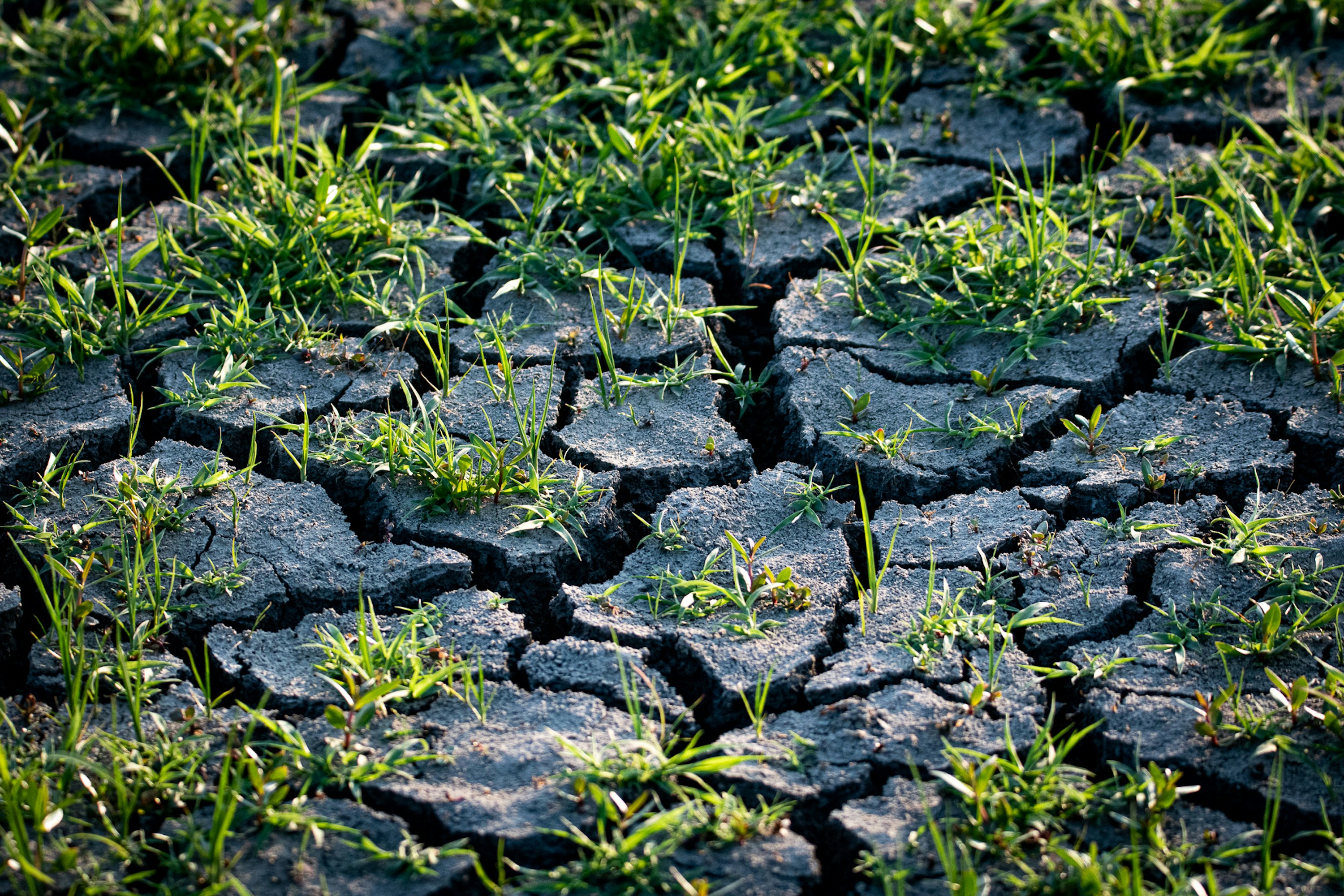 Photo by elisastonephotography