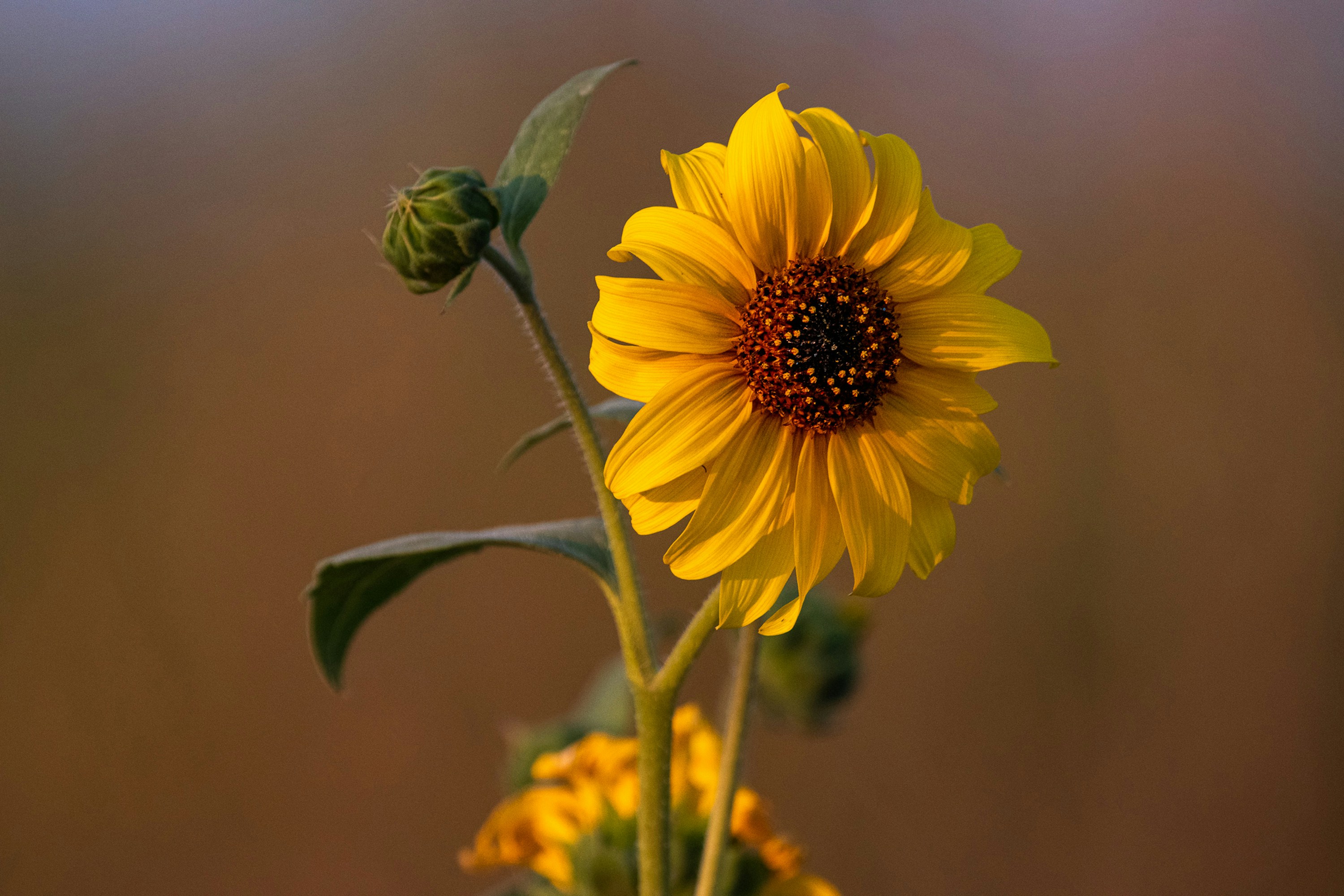 Photo by elisastonephotography