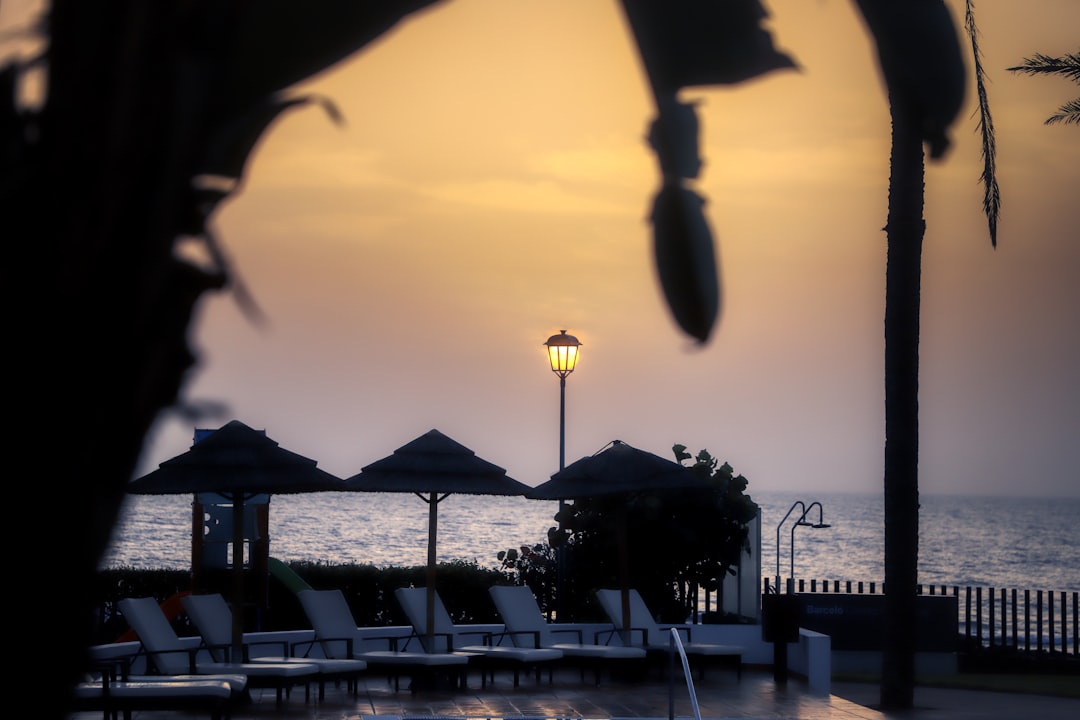 silhouette of people on beach during sunset