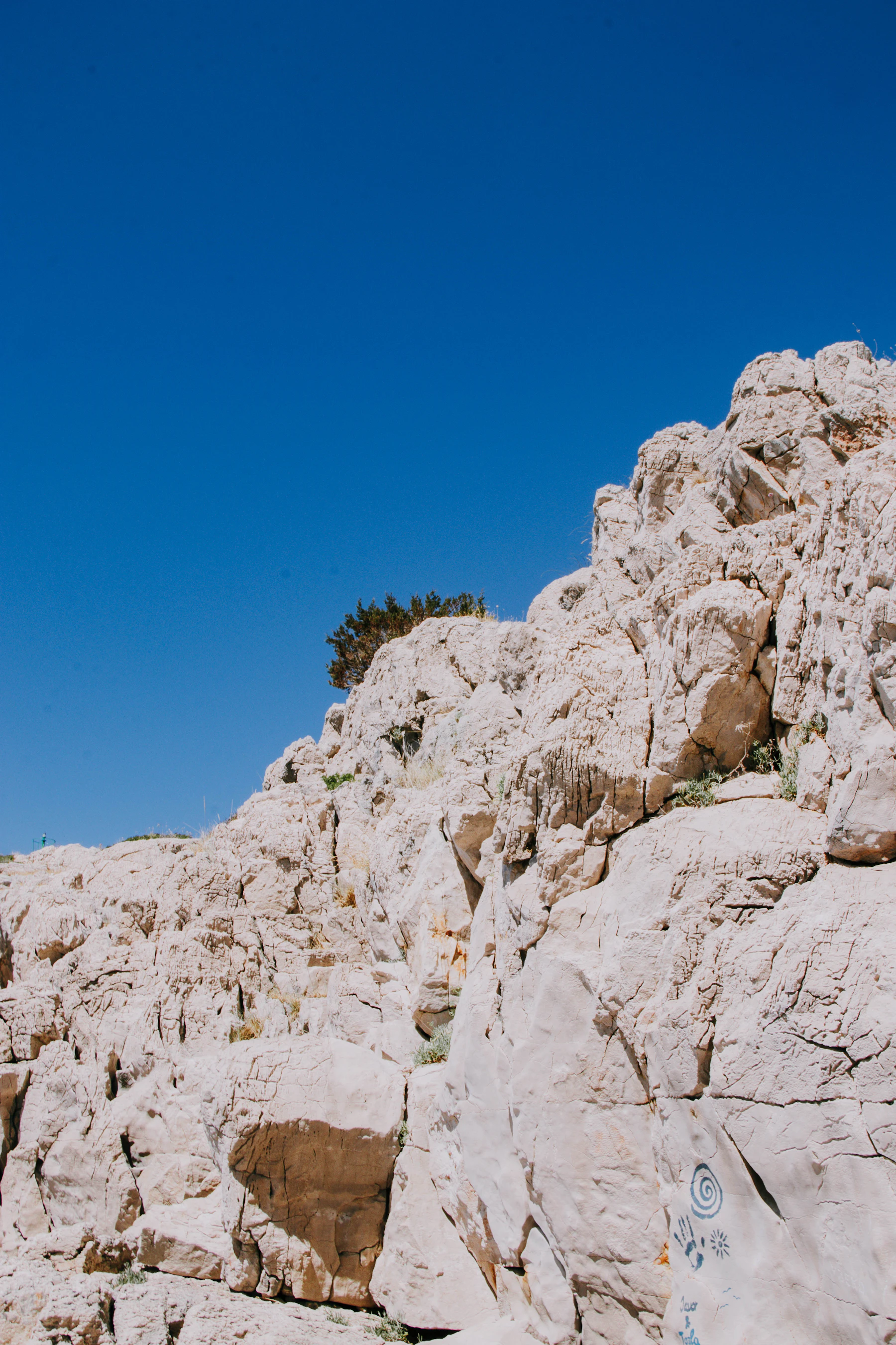Green trees cover rocky terrain beneath a clear sky.