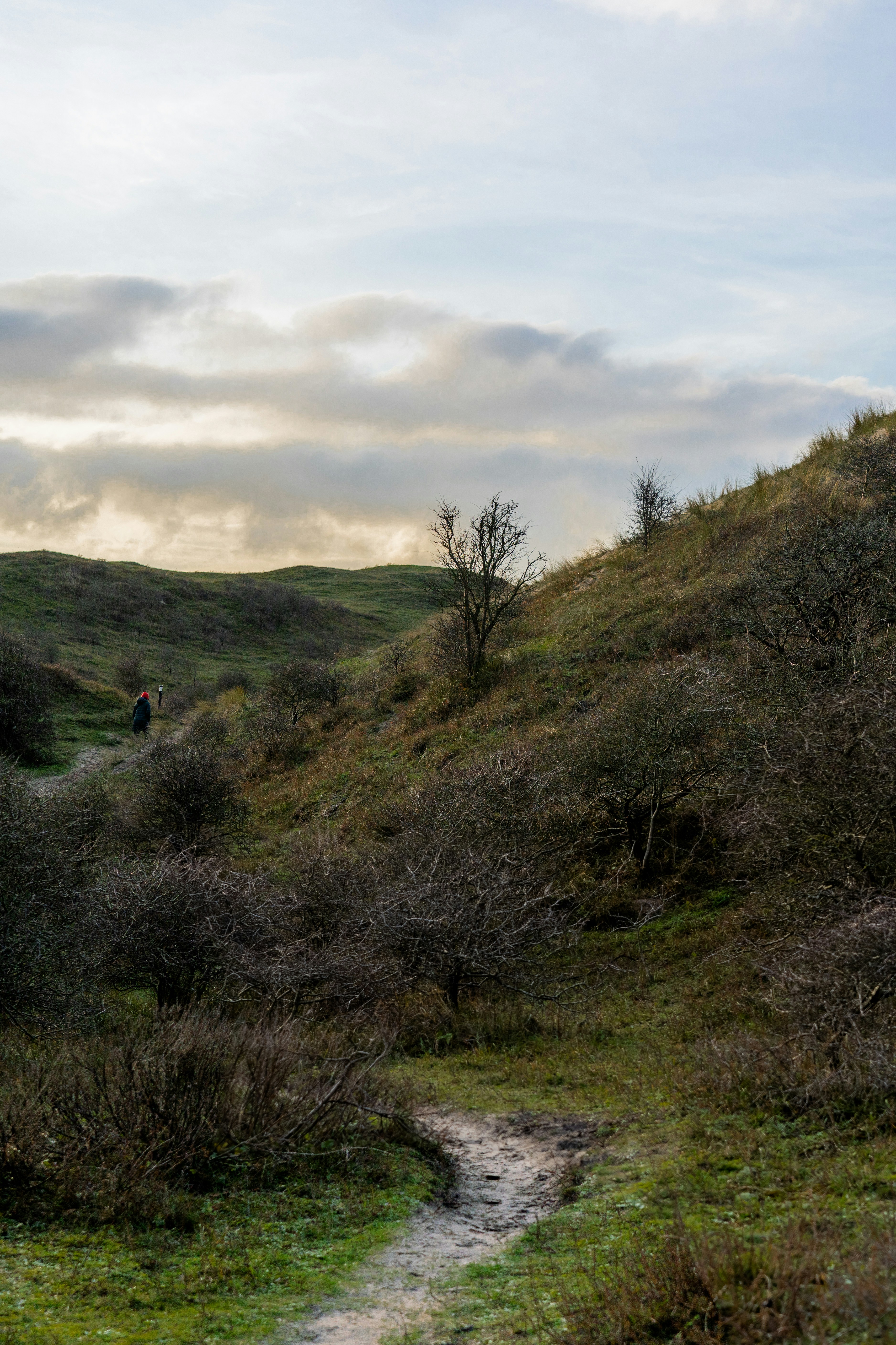 Photo by mitchelanneveldt