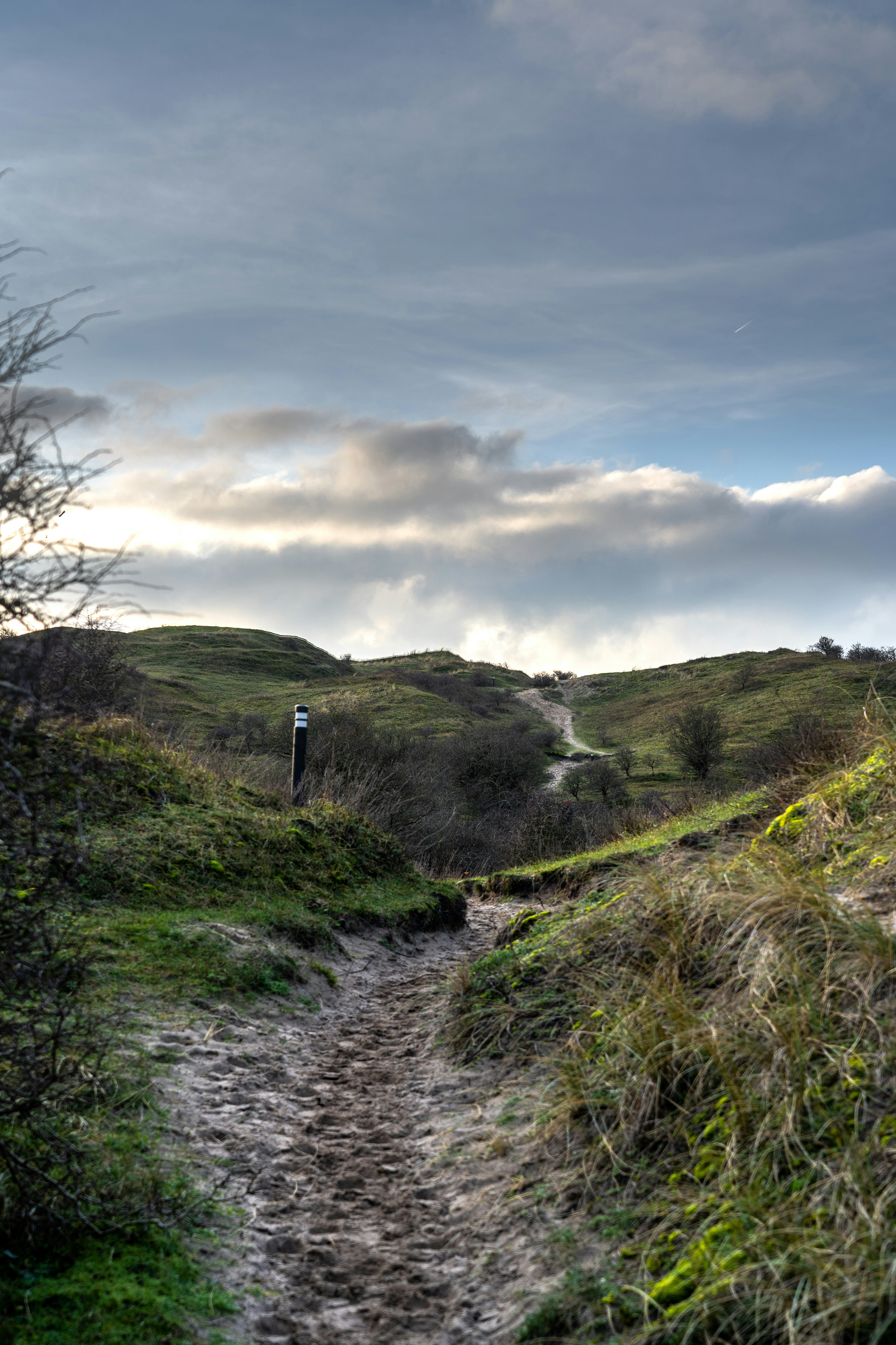 Photo by mitchelanneveldt