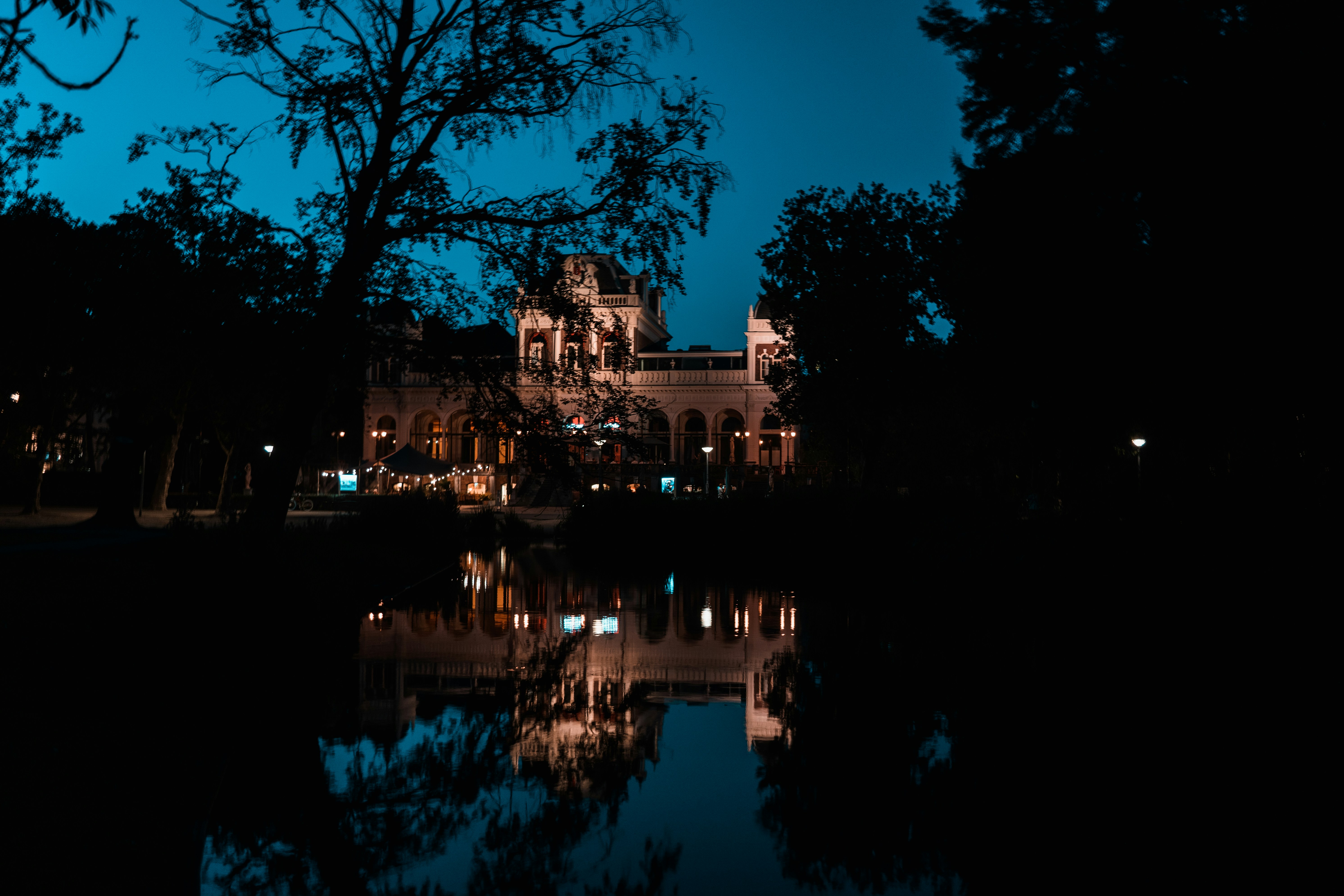 Photo by mitchelanneveldt