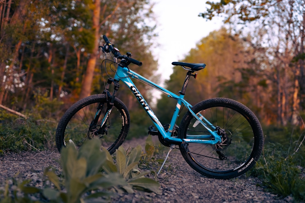 green and black mountain bike on green grass during daytime