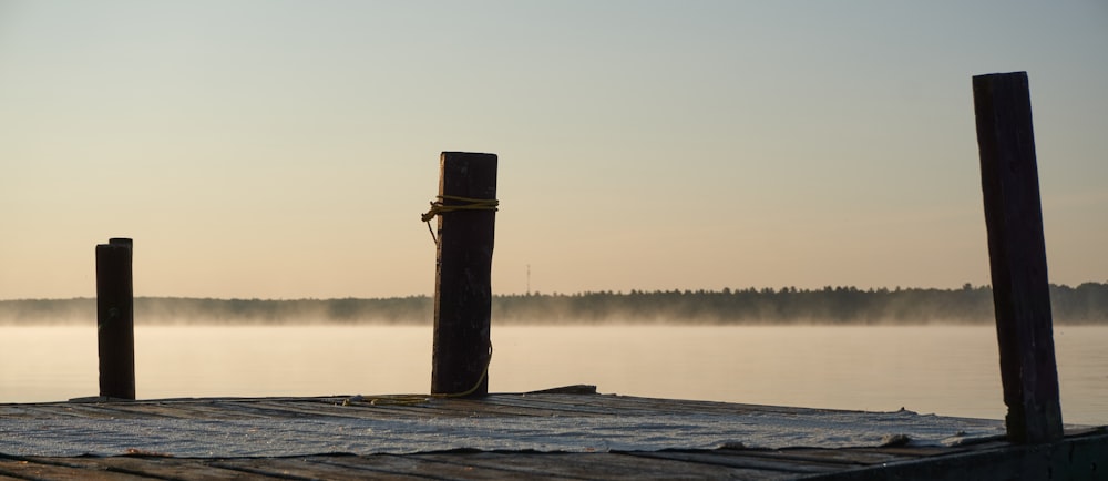 brown wooden post on body of water during daytime