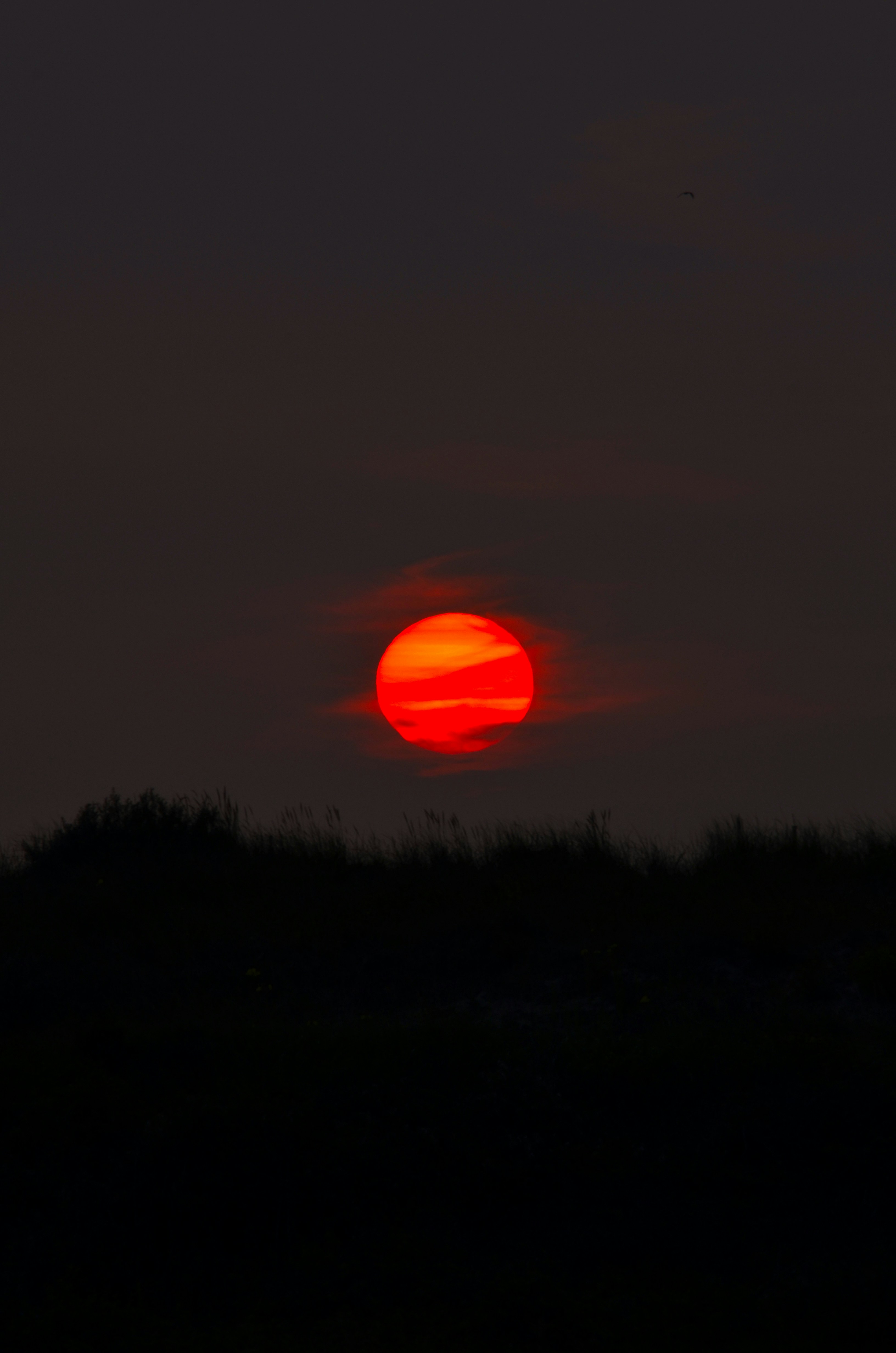 Photo by tim_on_the_drums