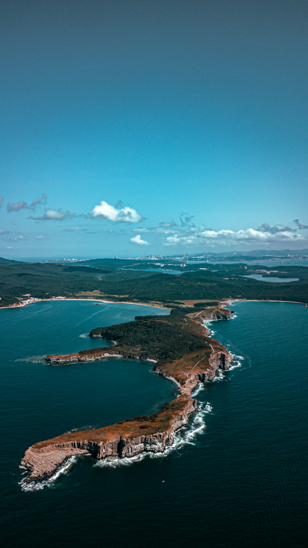 aerial view of green trees and body of water during daytime