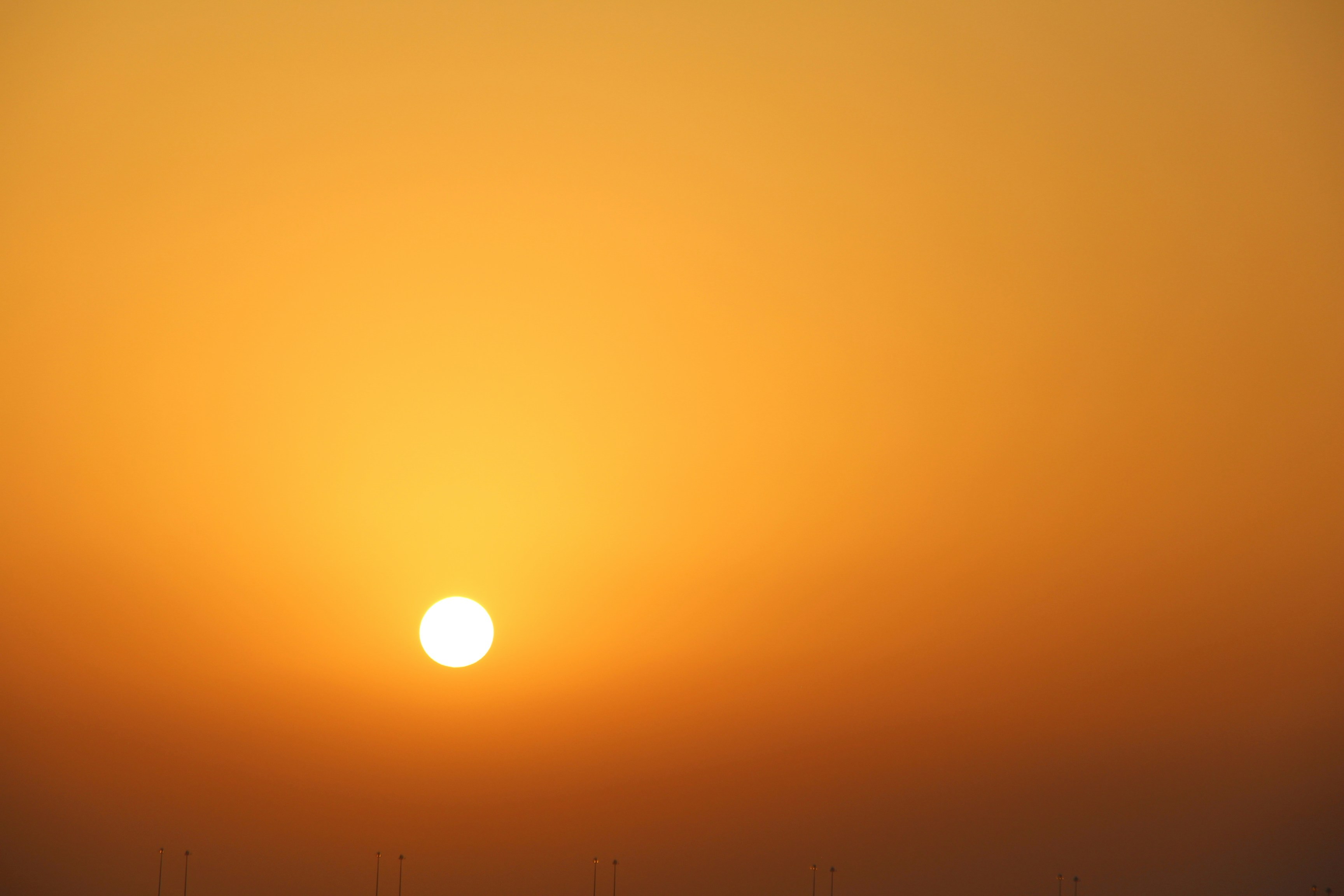 Photo by aestheticallyzoha12_sunsetdaisies3456