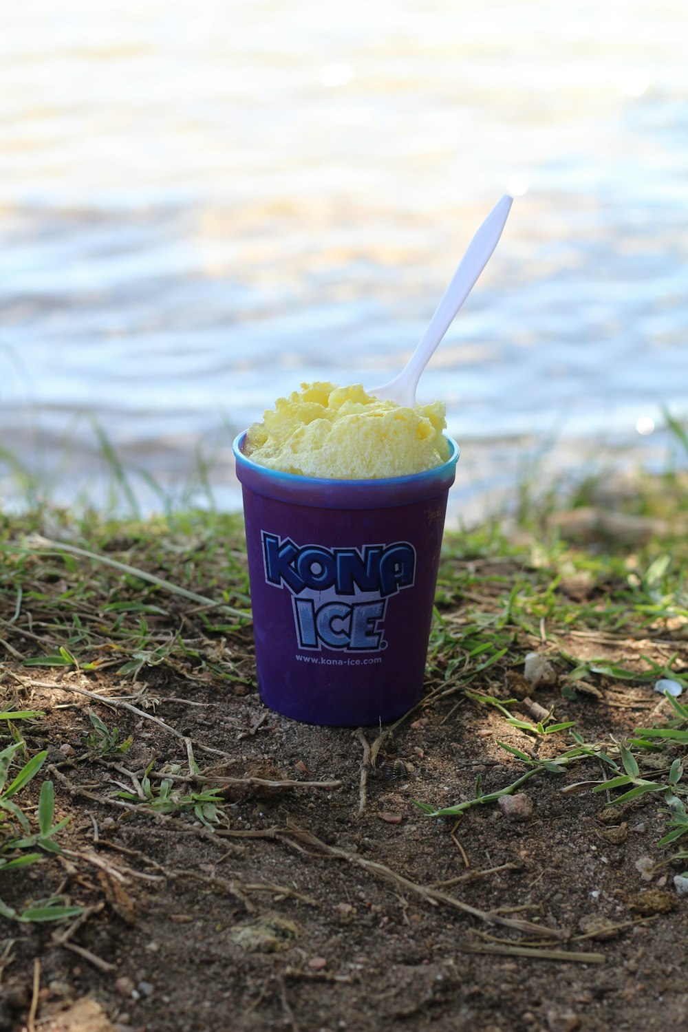purple and white plastic cup with yellow ice cream