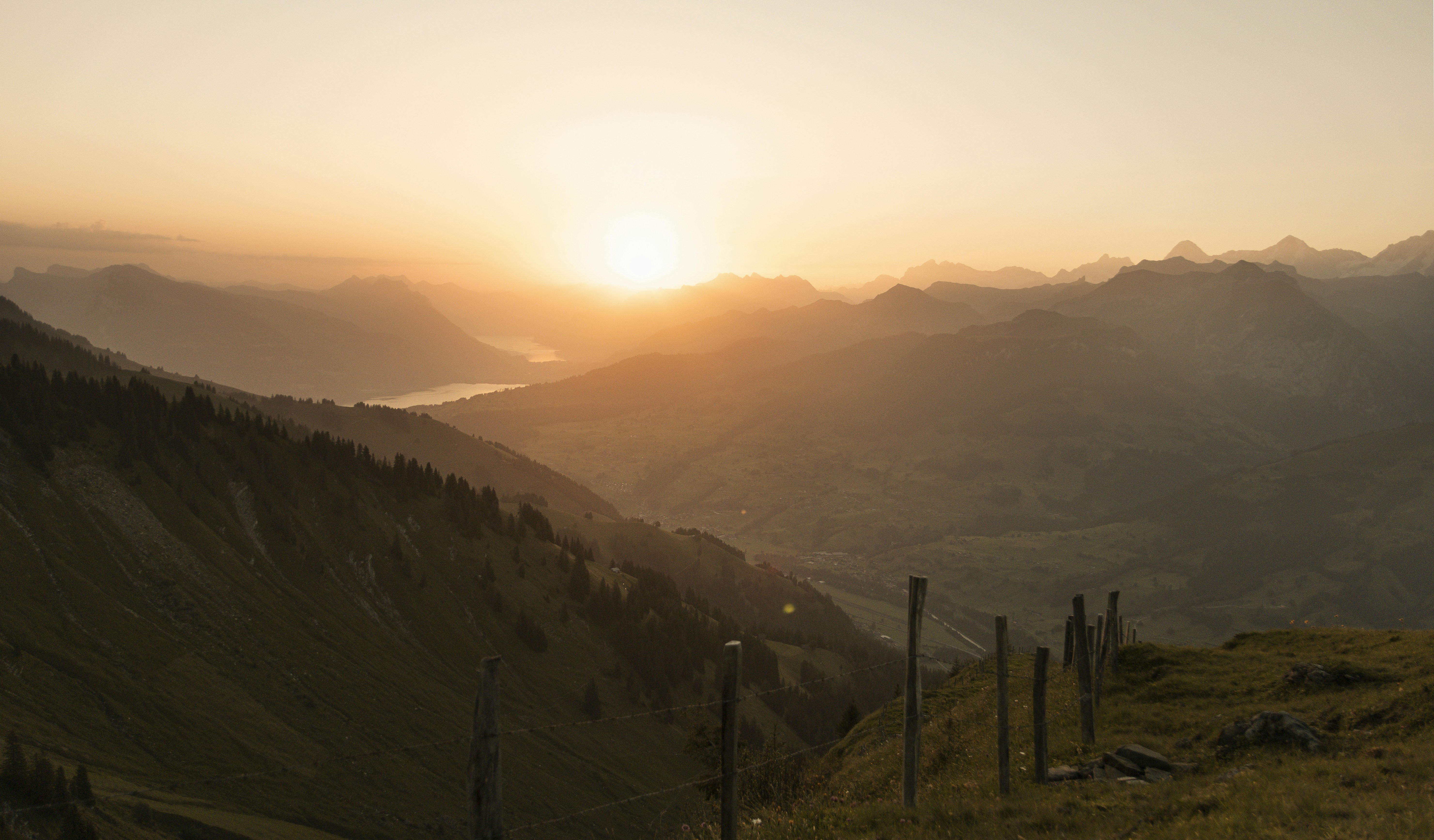 Photo by yoanndonze