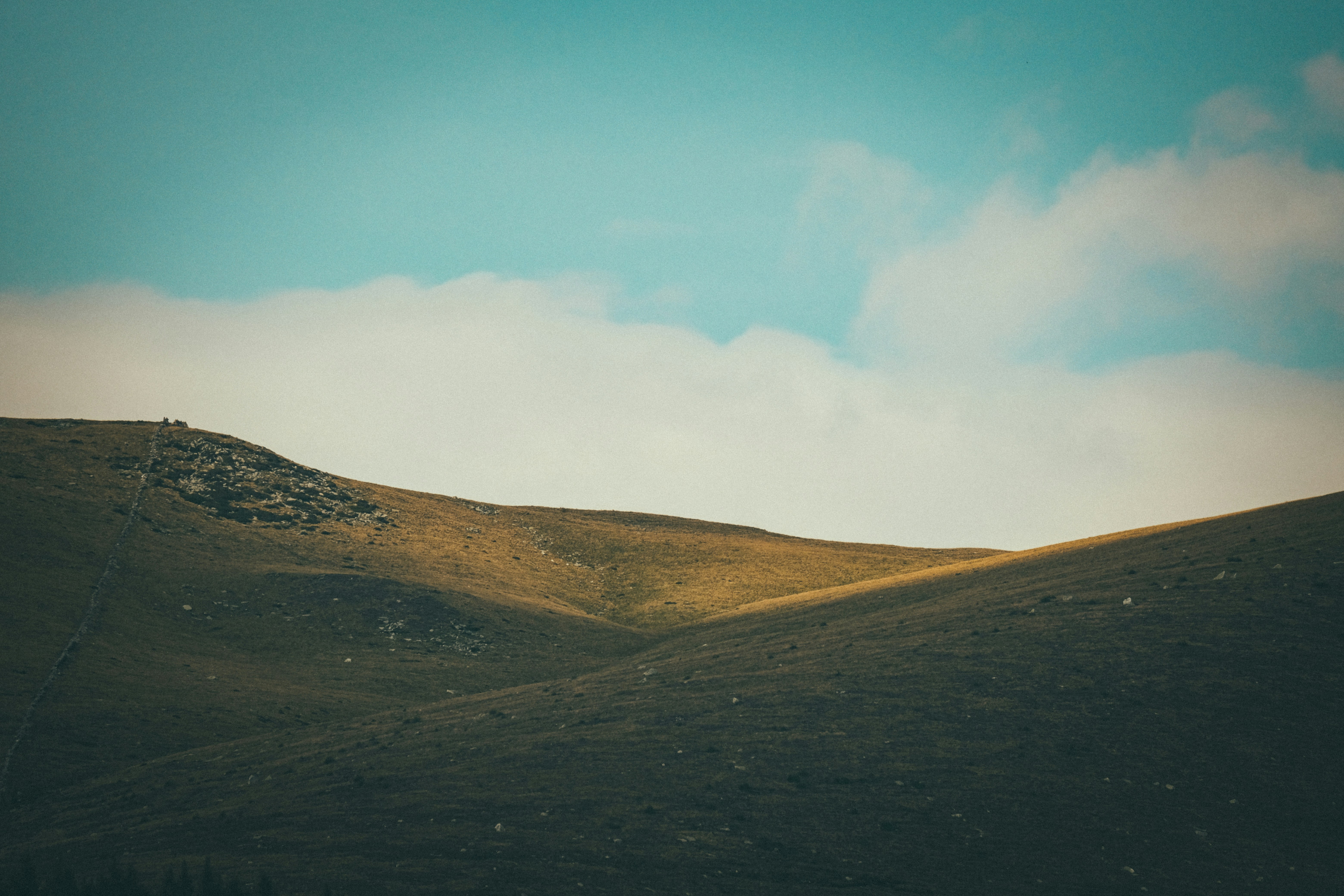 Photo by francesco_ungaro