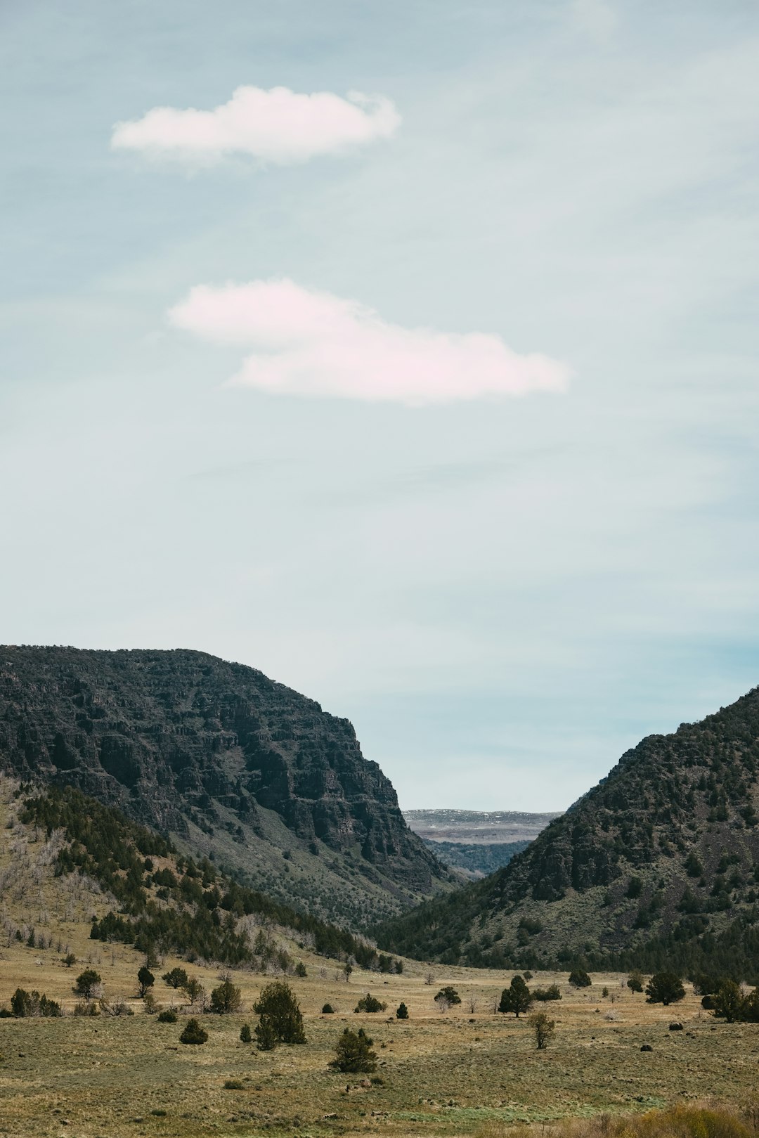 green and gray mountains under white sky during daytime