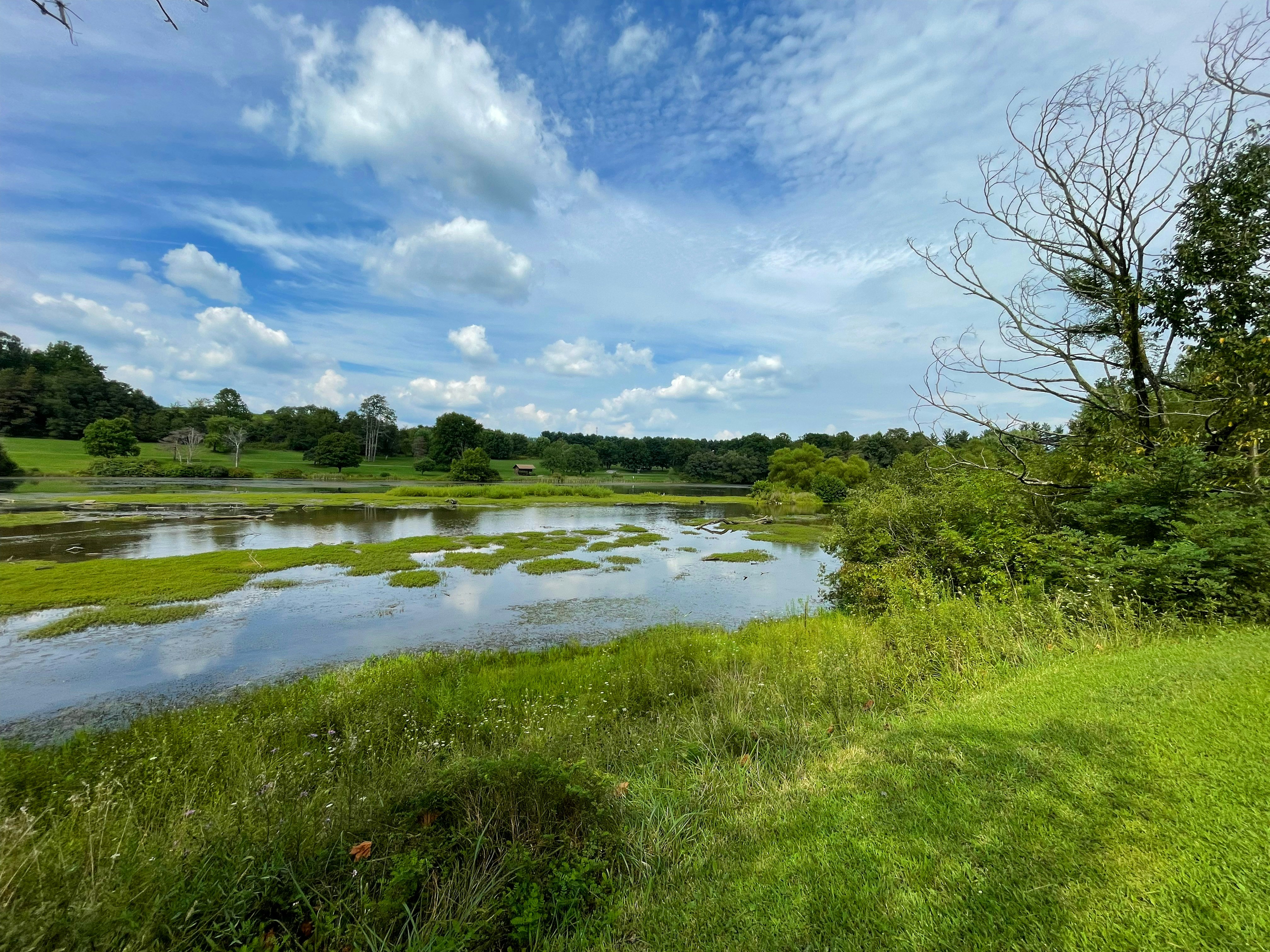 Photo by flyjahflyskunk