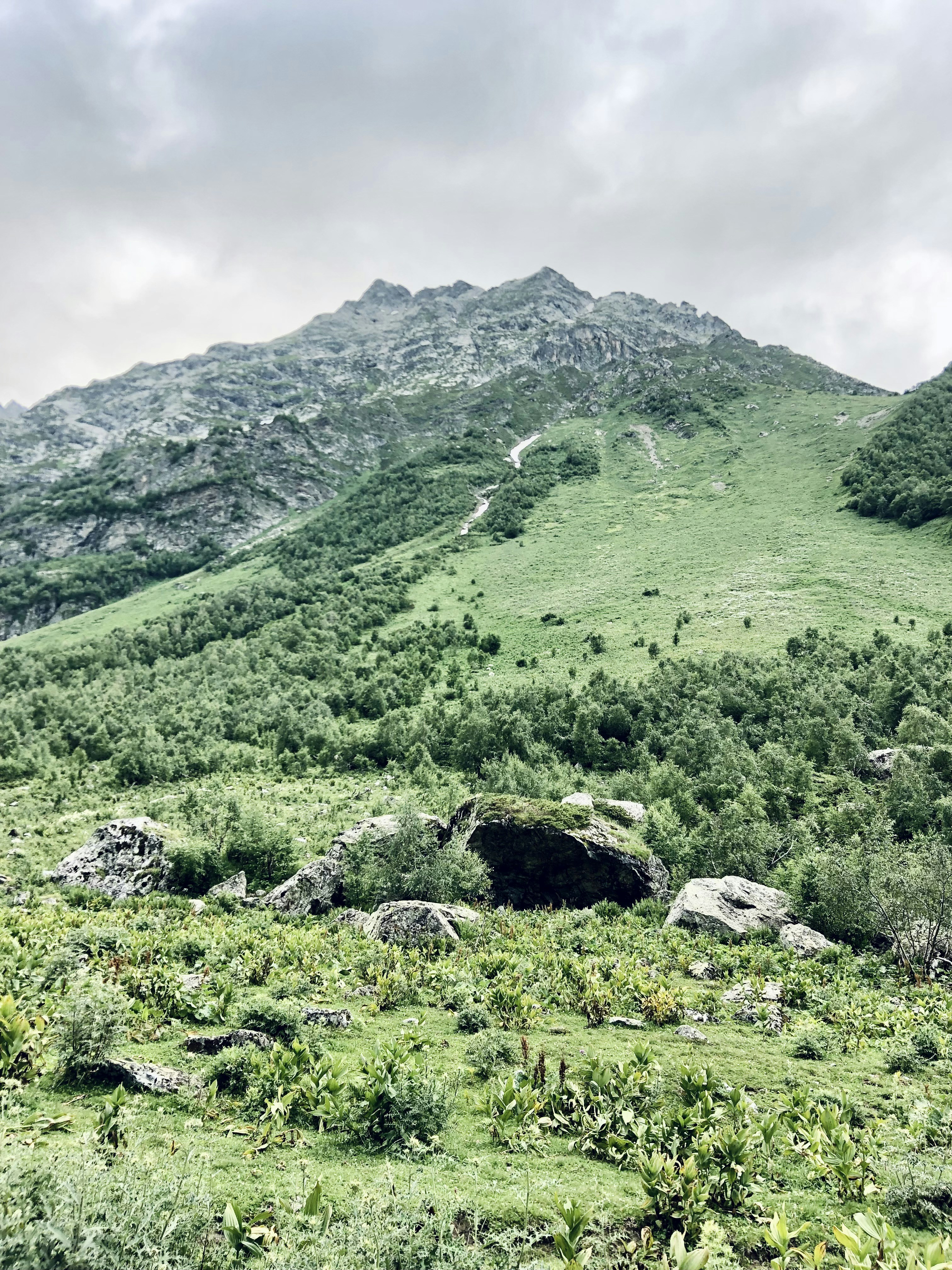Photo by zelenykh