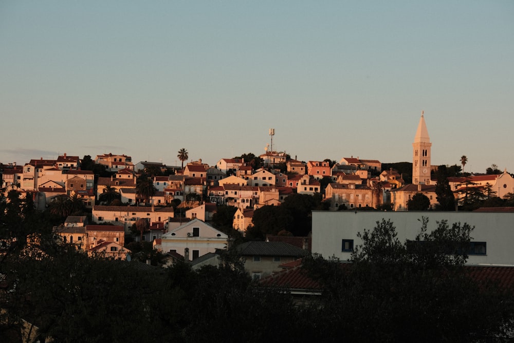 brown and white concrete buildings during daytime