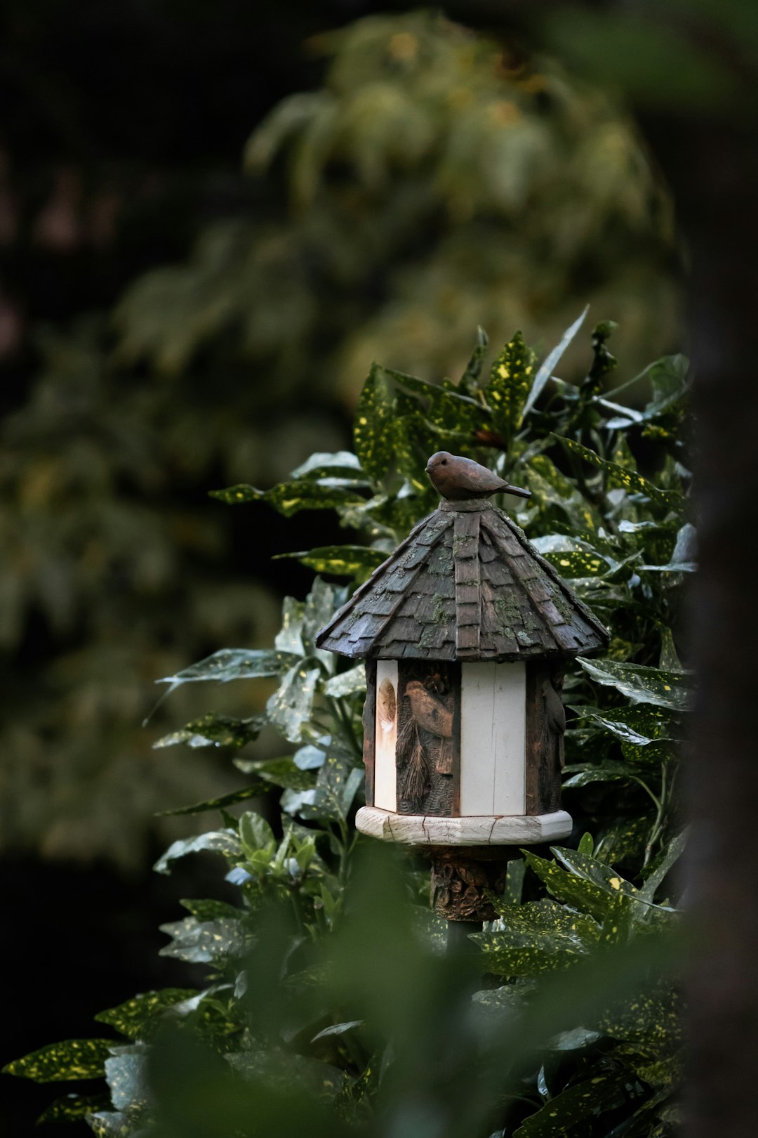 brown wooden bird house on green tree during daytime
