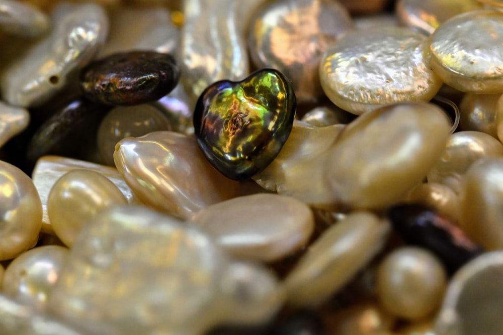 brown and black stones on water