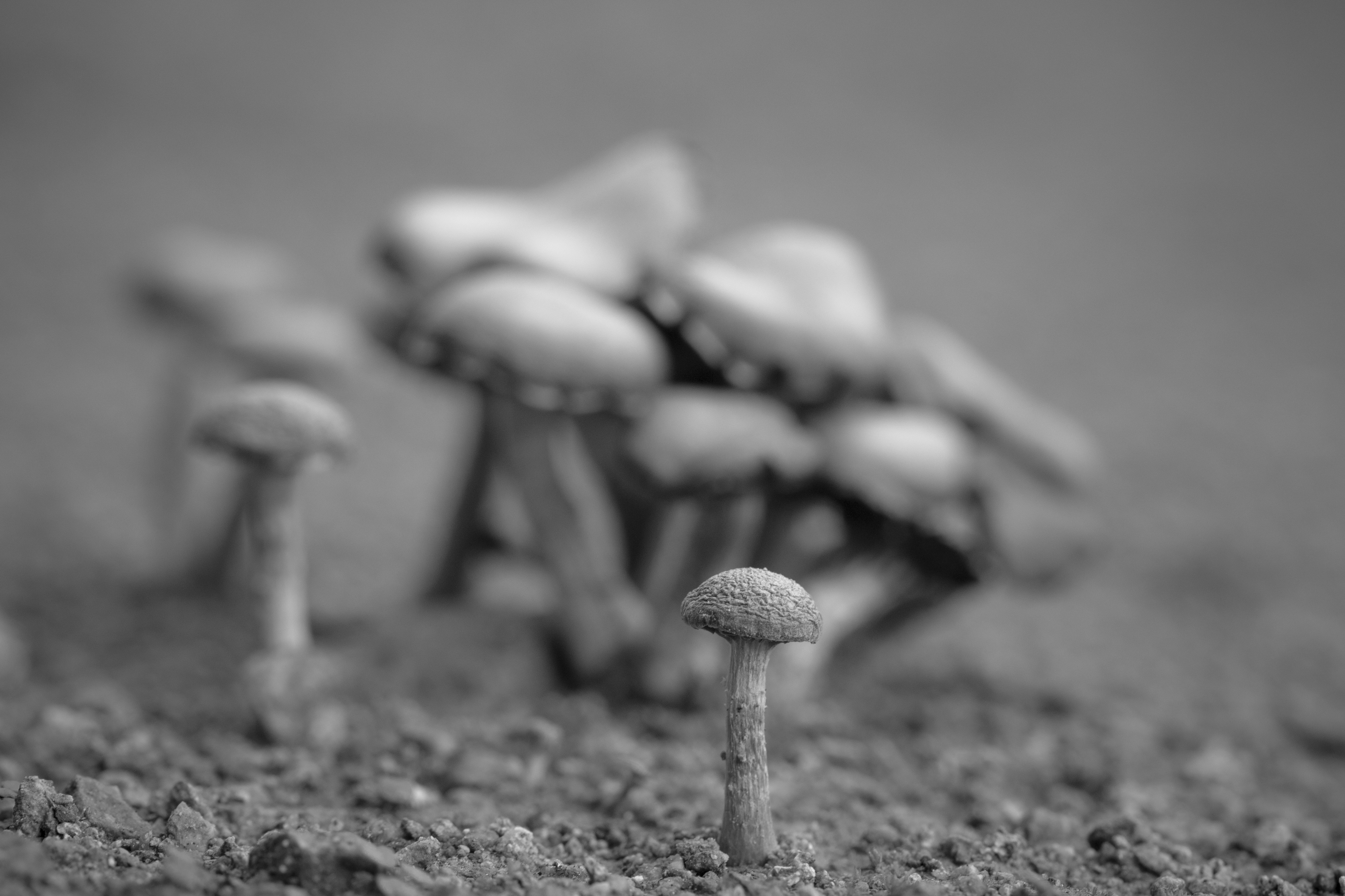 Photo by viajeenparacaidas