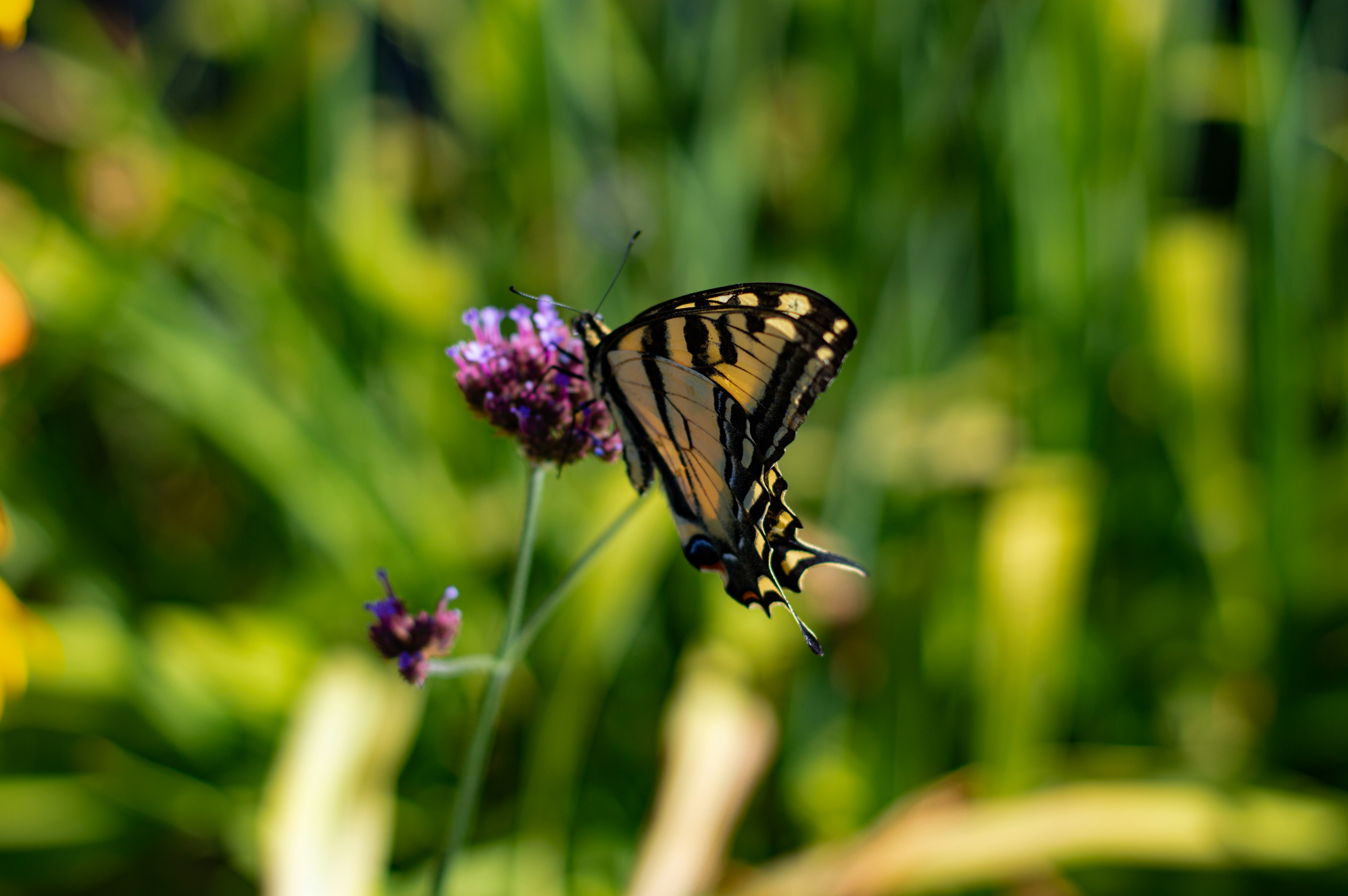 Photo by aliavictoriaphotography