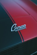 a silver car emblem