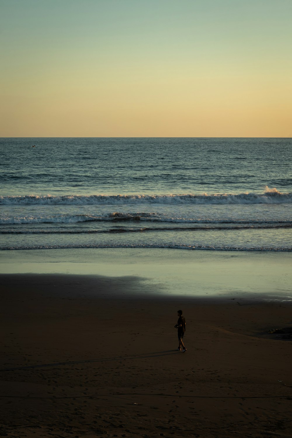 person walking on beach during sunset