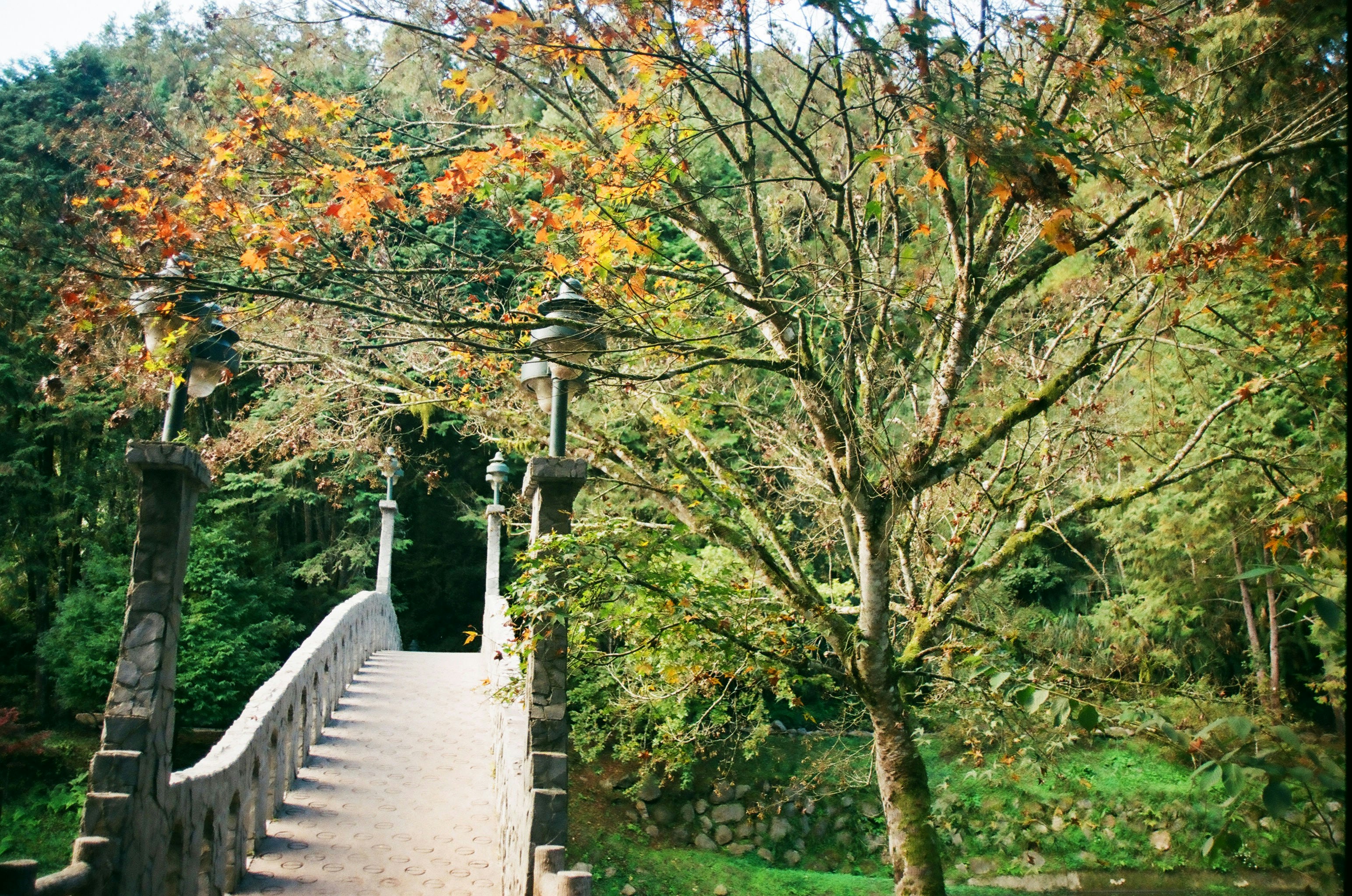 Bridevalley Park