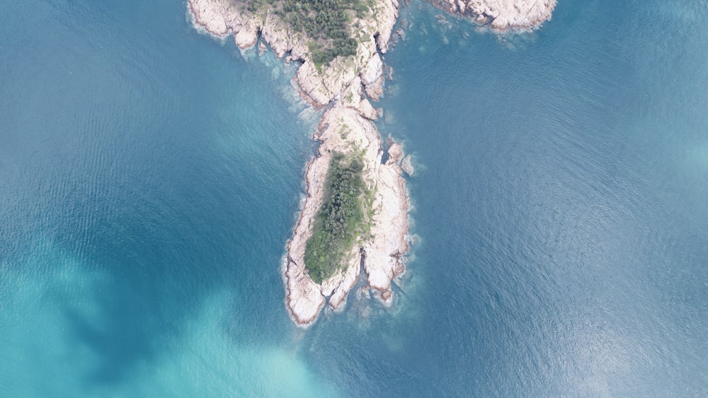 aerial view of green trees on island