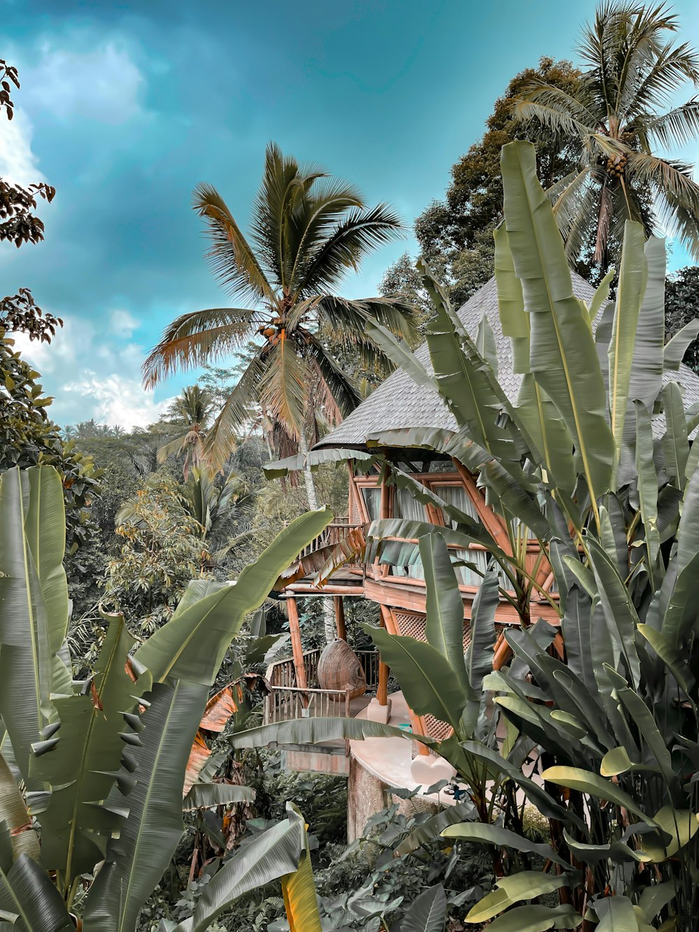 Grüne Palmen in der Nähe des Brunnens tagsüber