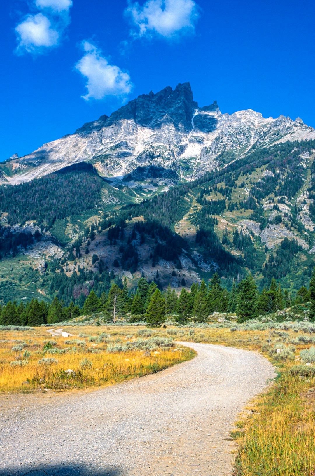 green trees near mountain under blue sky during daytime