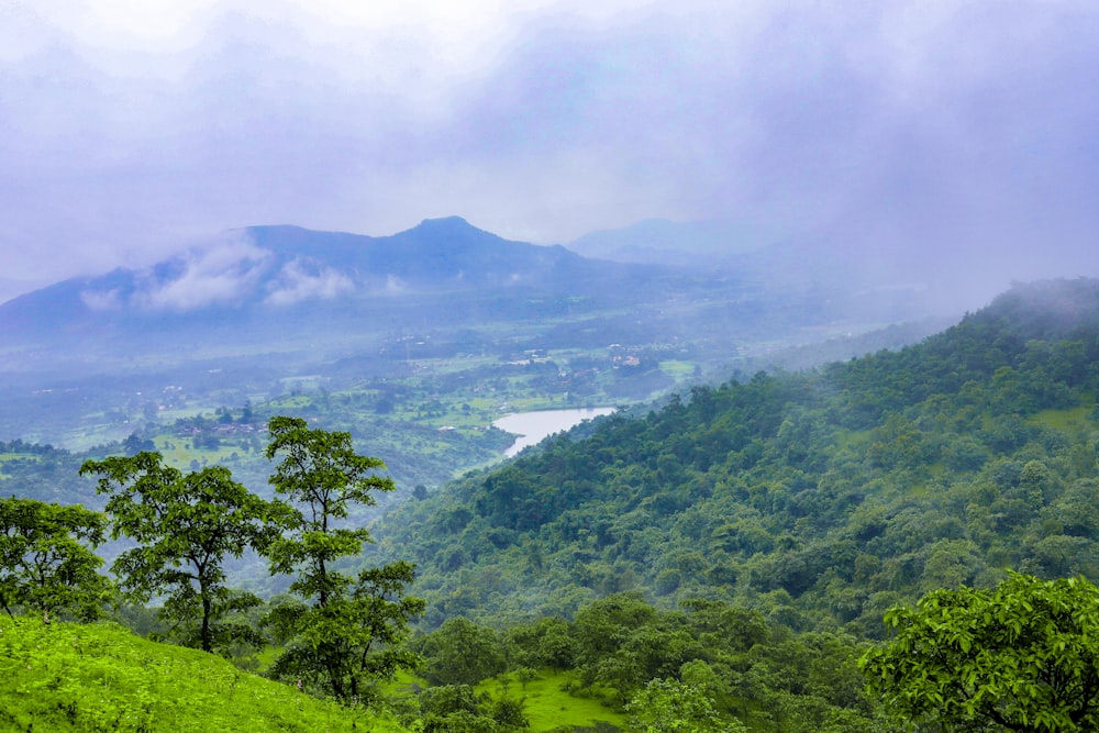 green trees on mountain under white sky during daytime