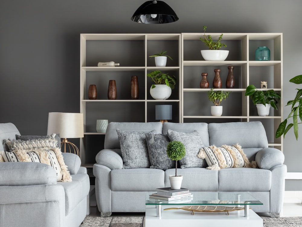 gray sofa chair near green potted plant