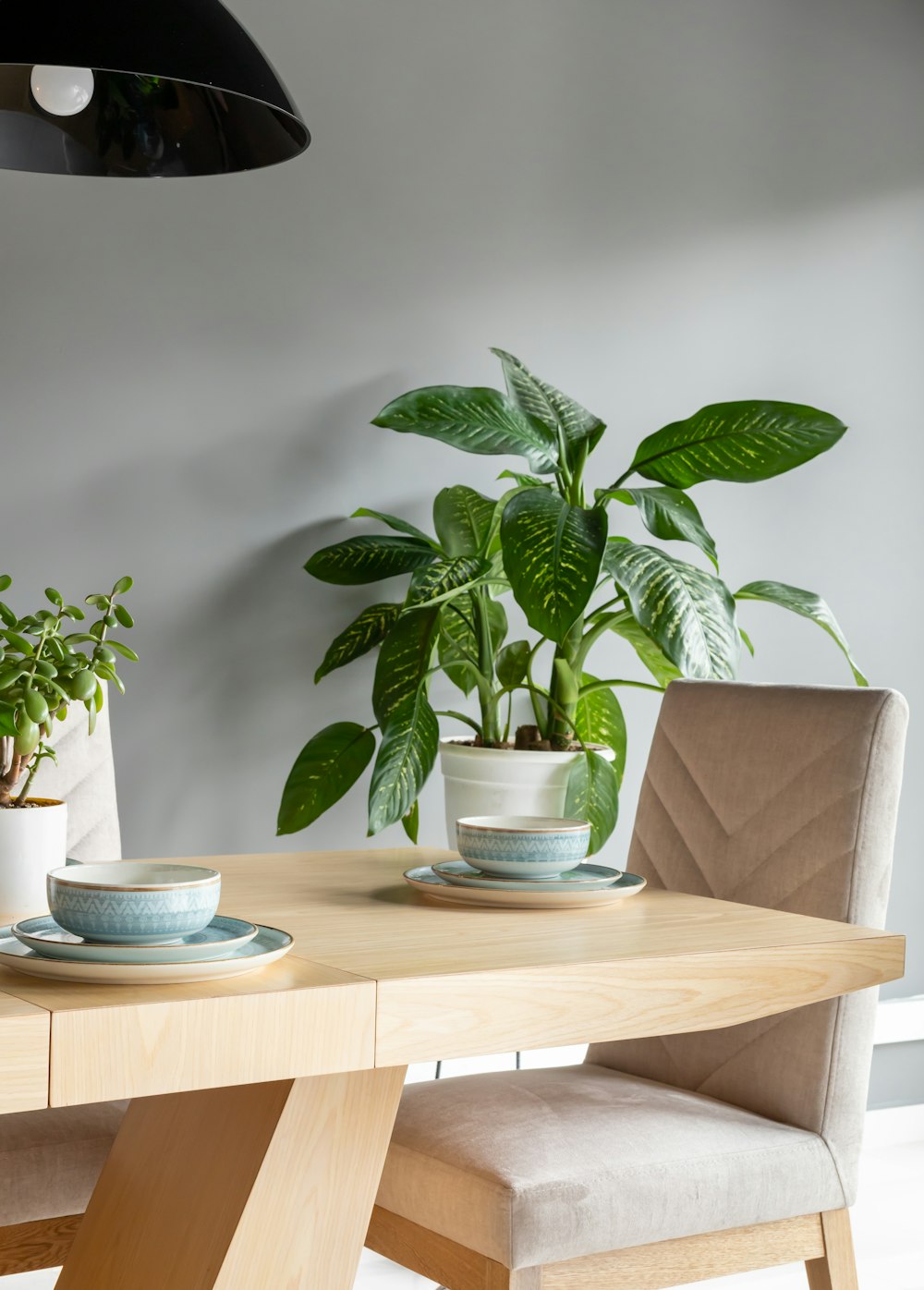 茶色の木製のテーブルに白いセラミックボウルに緑の植物