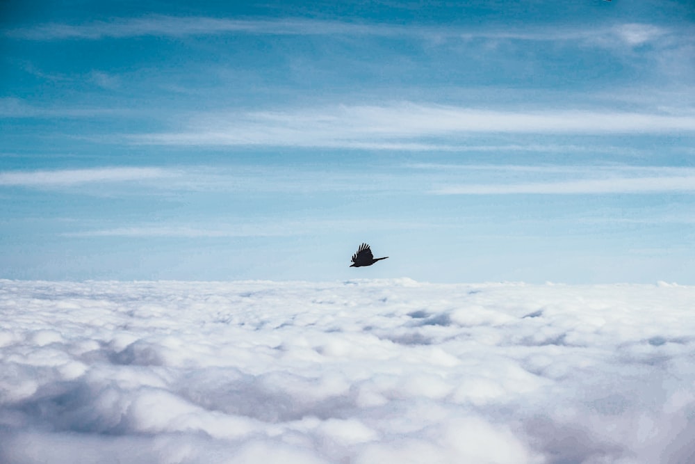 black bird flying over white clouds during daytime