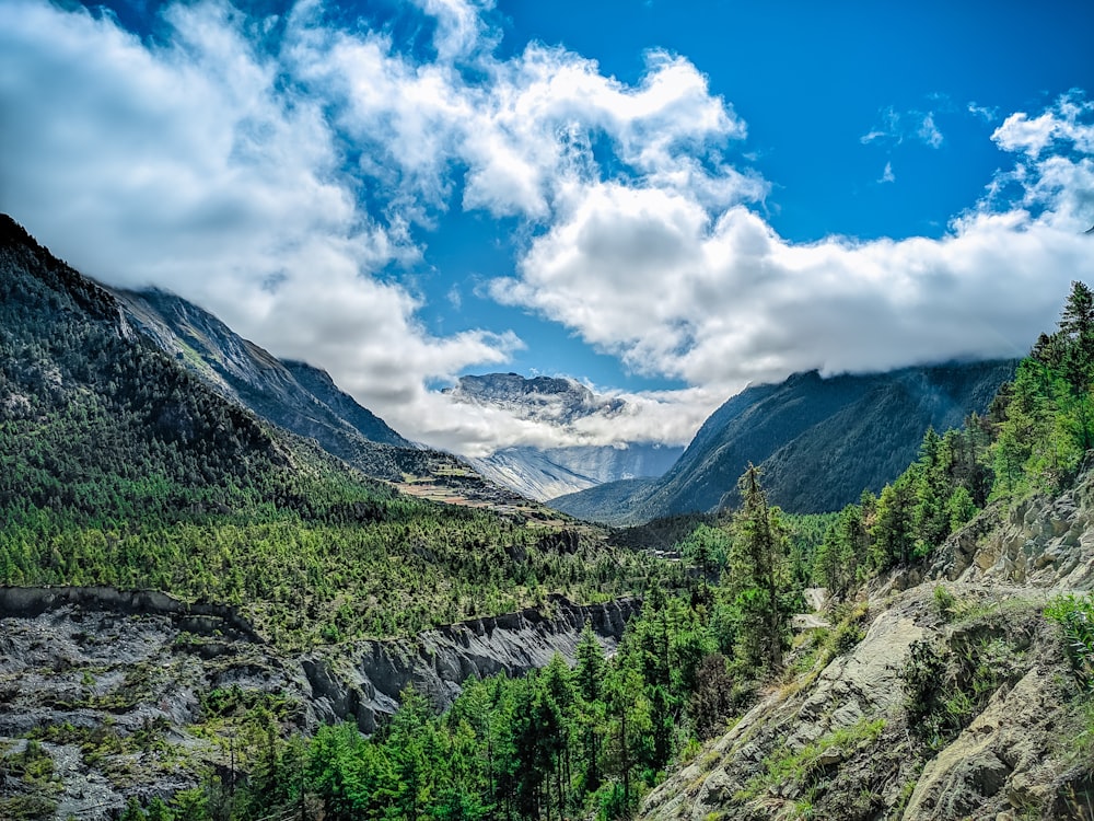 green trees on mountain under blue sky during daytime