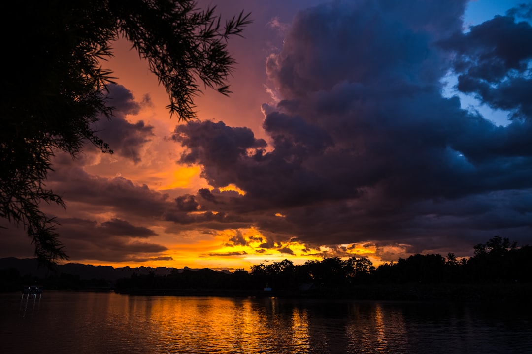 silhouette of trees near body of water during sunset