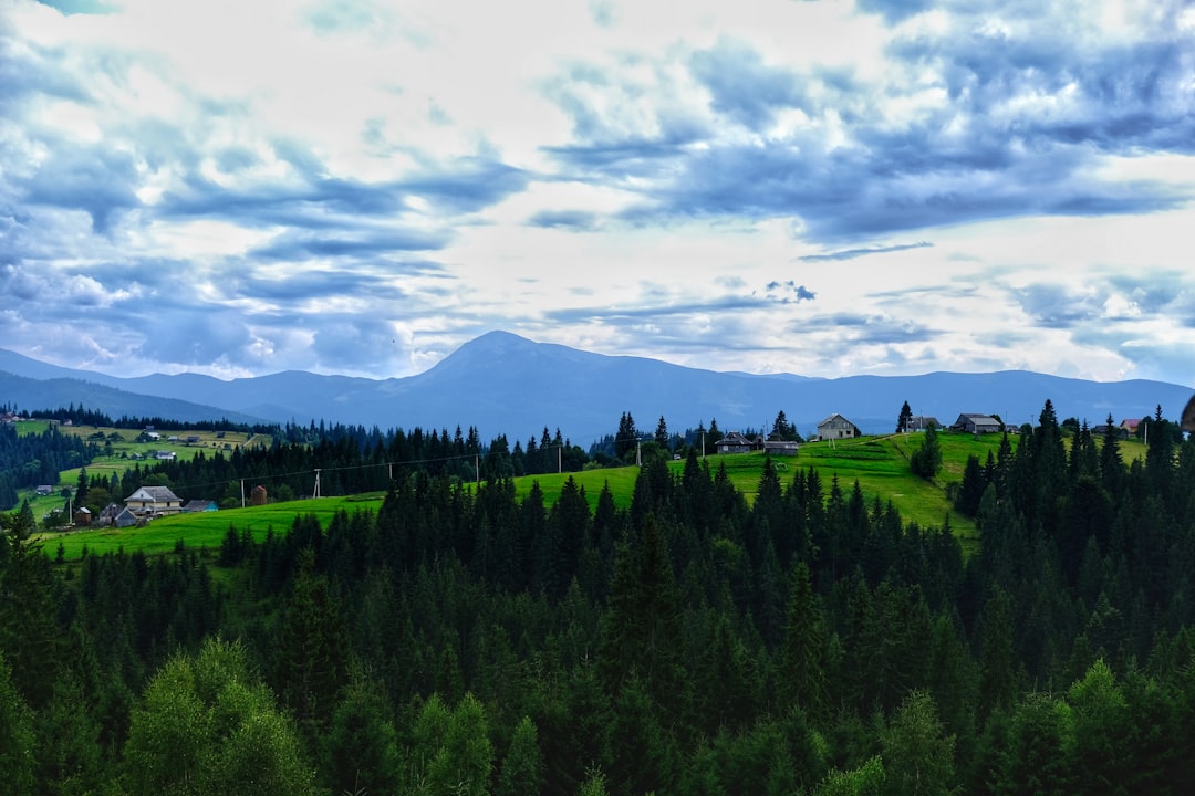 green trees on mountain under white clouds during daytime