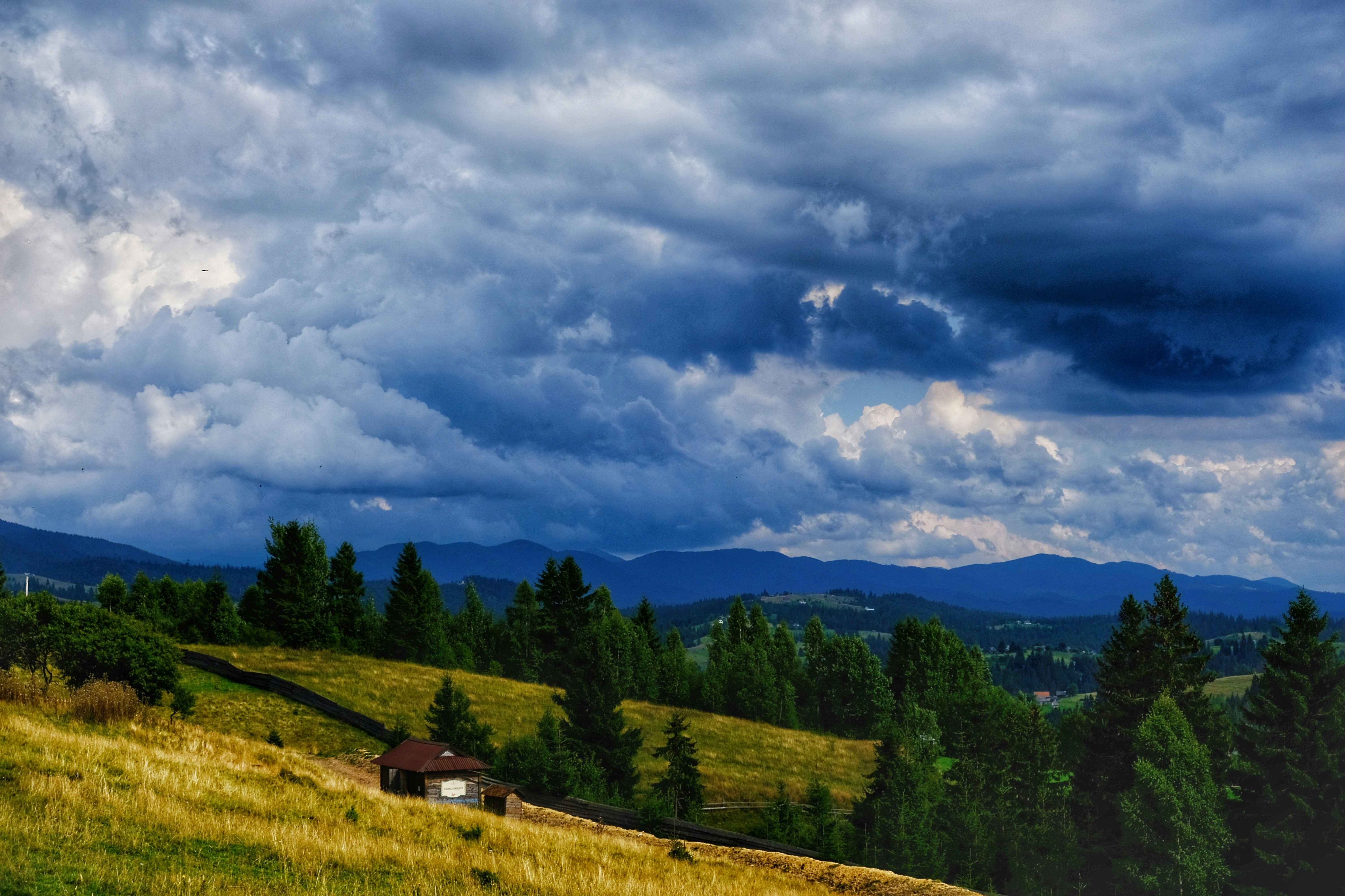 Photo by dpidhrushnyi