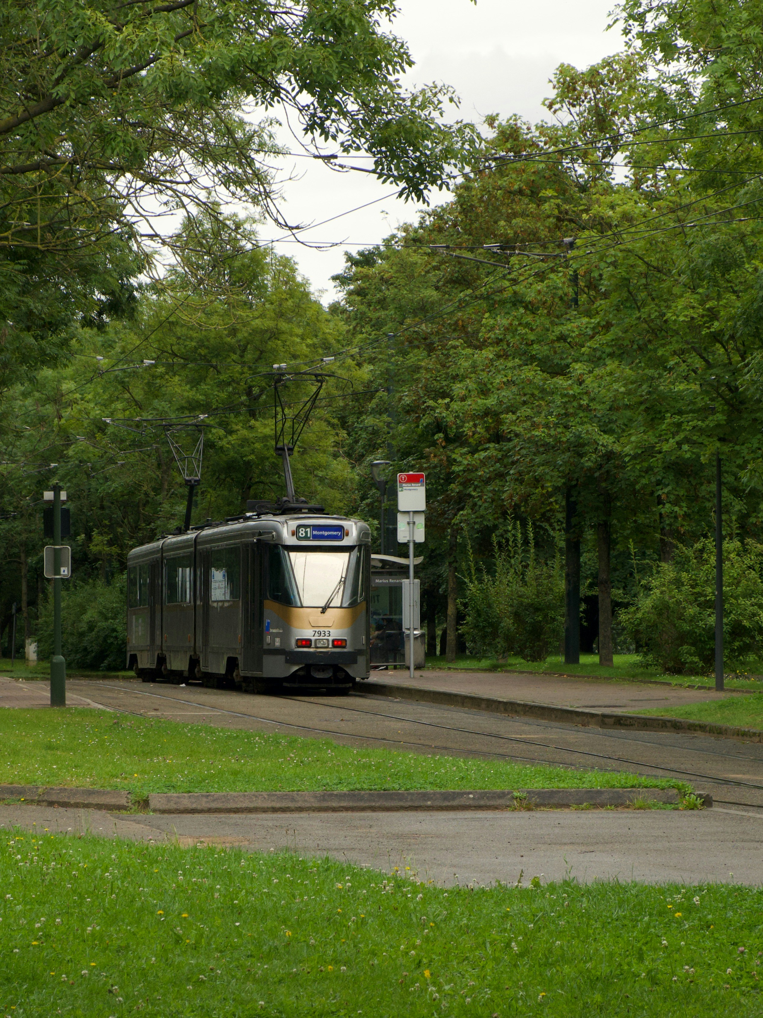 Photo by peter_heymans