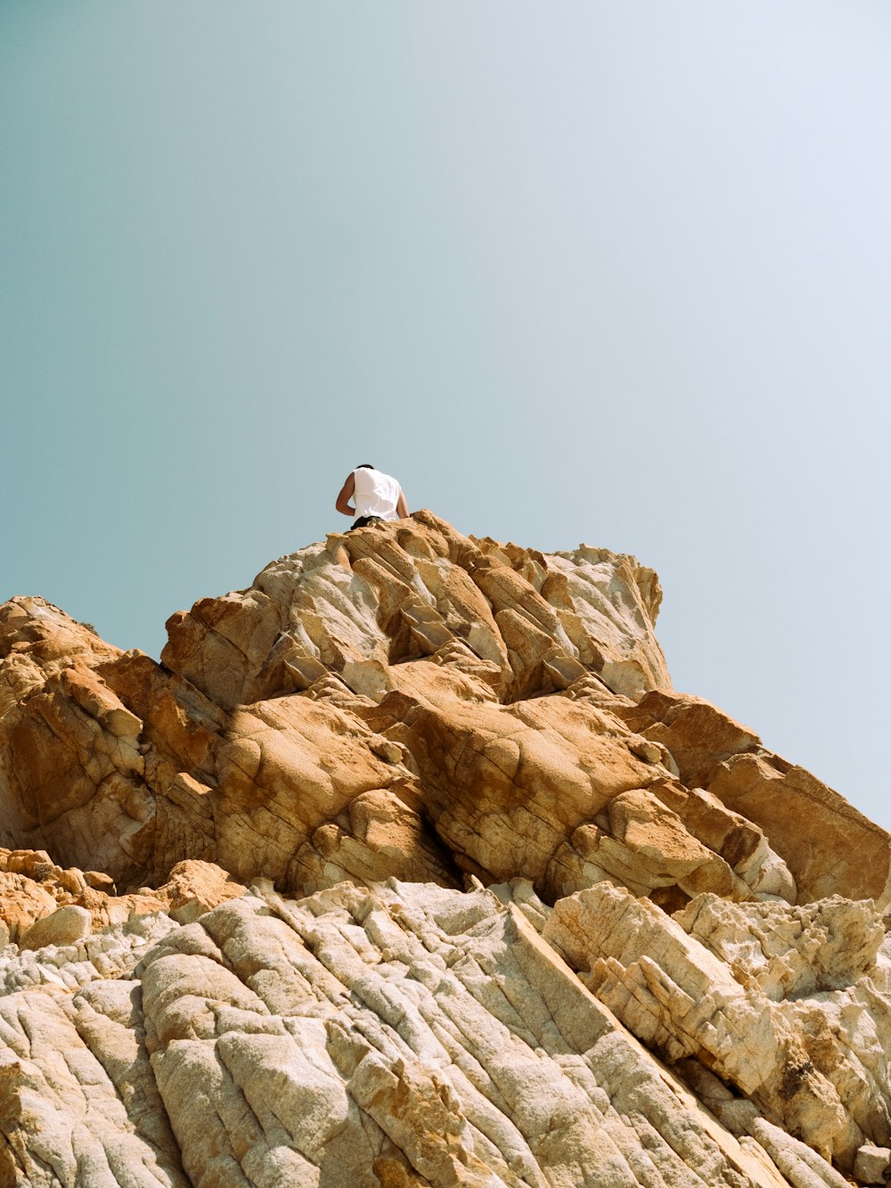 white bird on brown rock formation during daytime