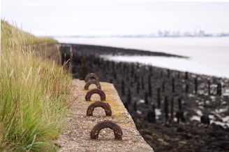 A grassy embankment alongside a body of water features a concrete slab with rusted metal rings embedded in it. The water is bordered by a dark, muddy coastline with several vertical wooden posts protruding from the ground. In the background, there is a hazy view of industrial structures across the water.