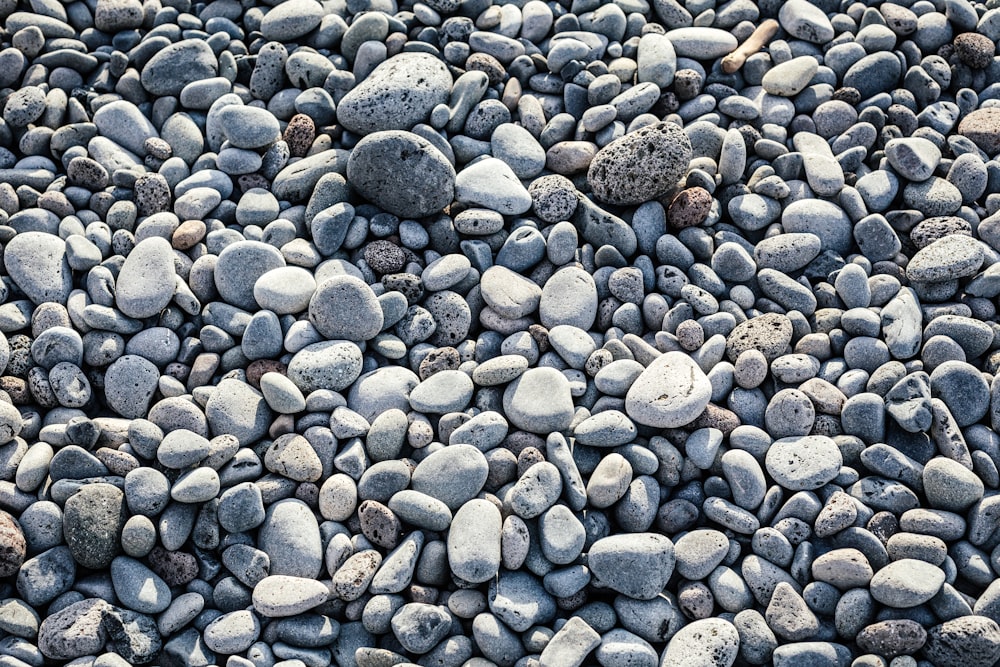 gray and brown stones on gray sand