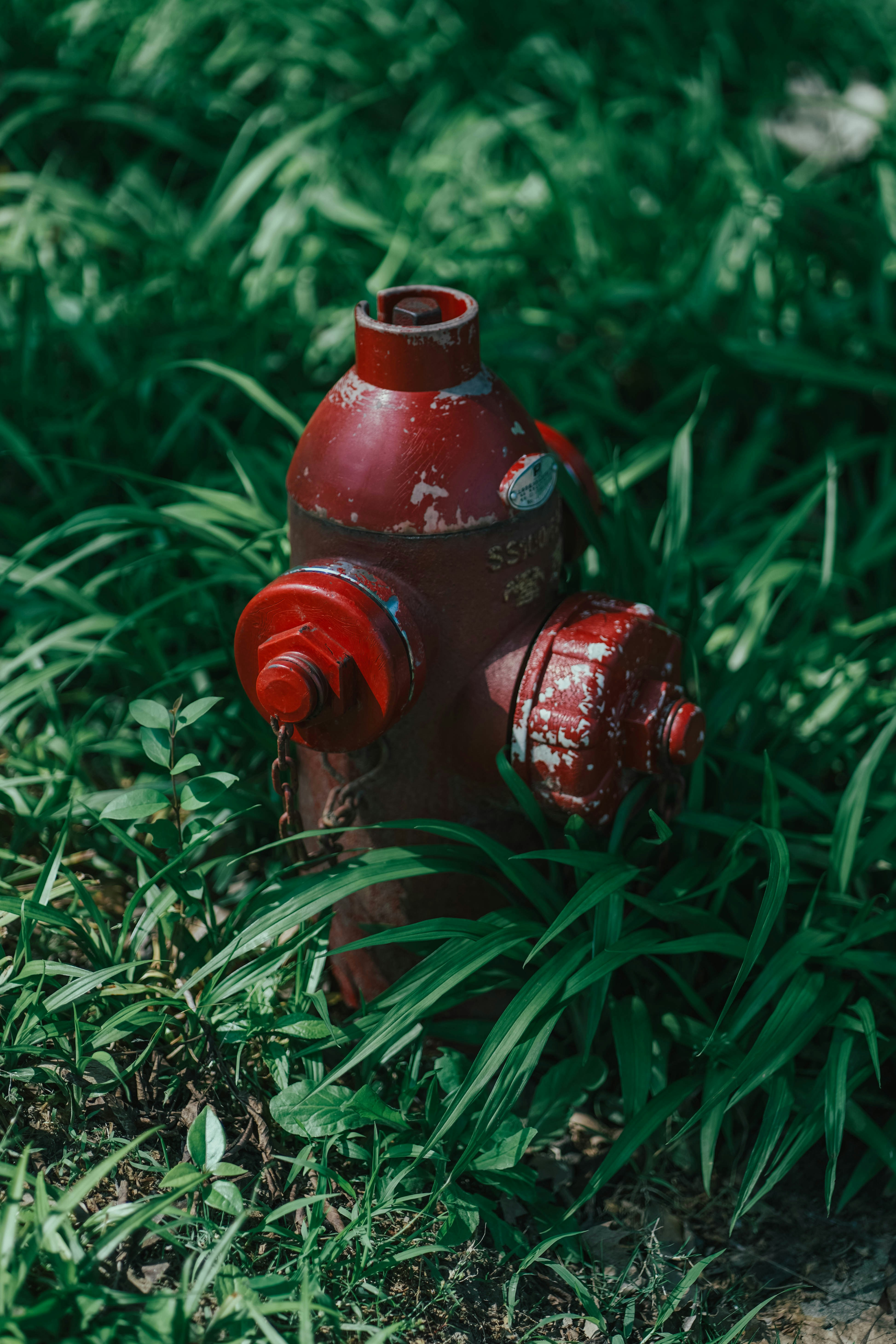 botol kaca merah di atas rumput hijau