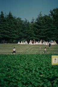 A serene outdoor space with children playing and interacting, symbolizing growth and community.