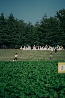 A lush green park with a large, well-maintained lawn where several children are running and playing. In the background, a row of small white tents is visible, and tall evergreen trees create a natural wall. The foreground features a dense patch of greenery. The image conveys a sense of outdoor recreation and freedom.