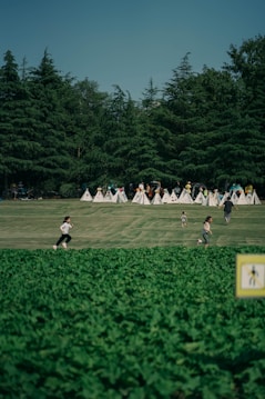 A lush green park with a large, well-maintained lawn where several children are running and playing. In the background, a row of small white tents is visible, and tall evergreen trees create a natural wall. The foreground features a dense patch of greenery. The image conveys a sense of outdoor recreation and freedom.