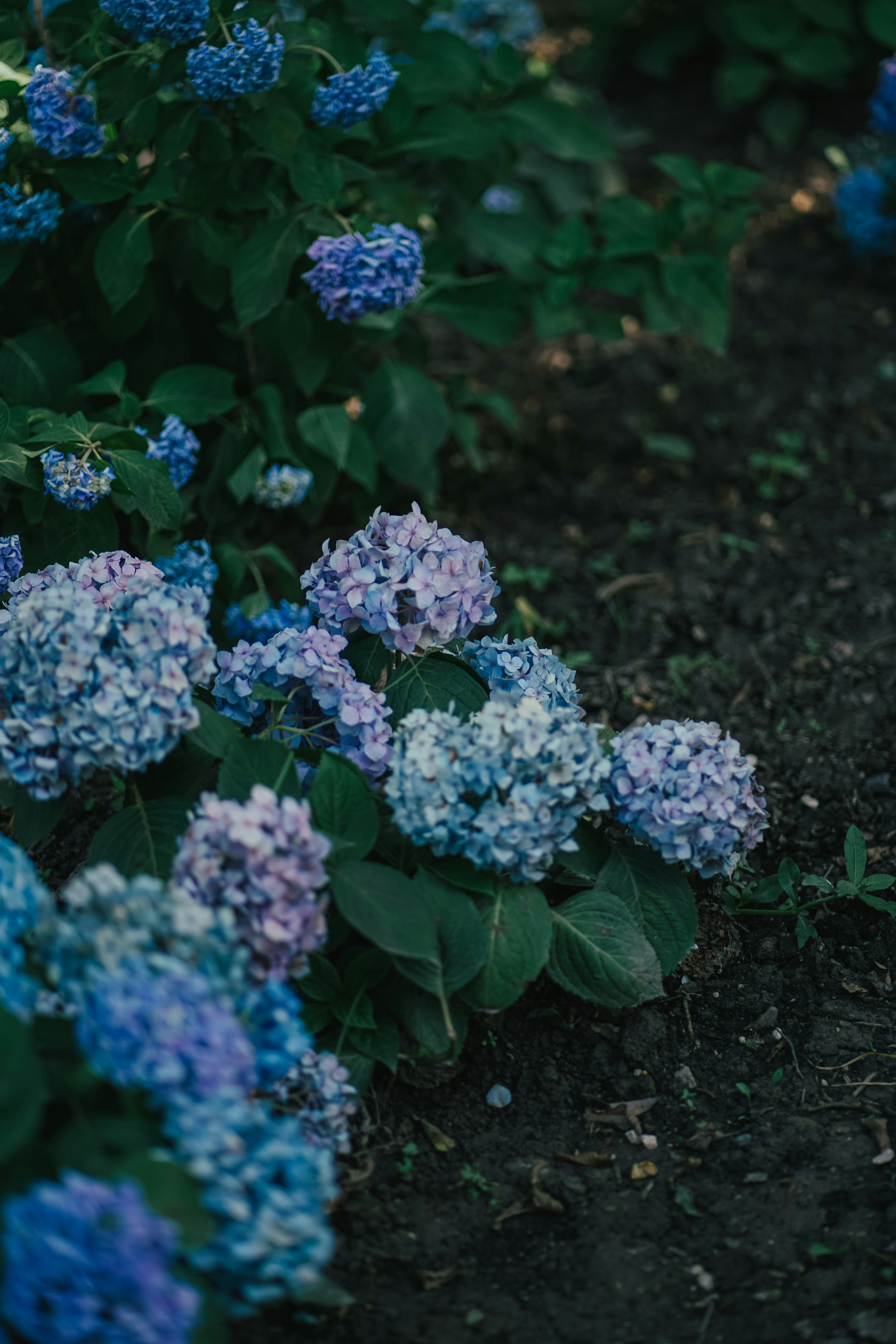 Photo by jacquelinepeng_