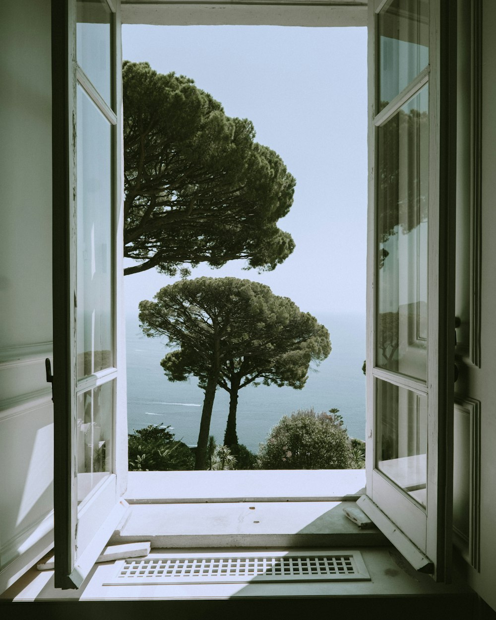 arbre vert à côté d’une fenêtre en verre encadrée en bois blanc