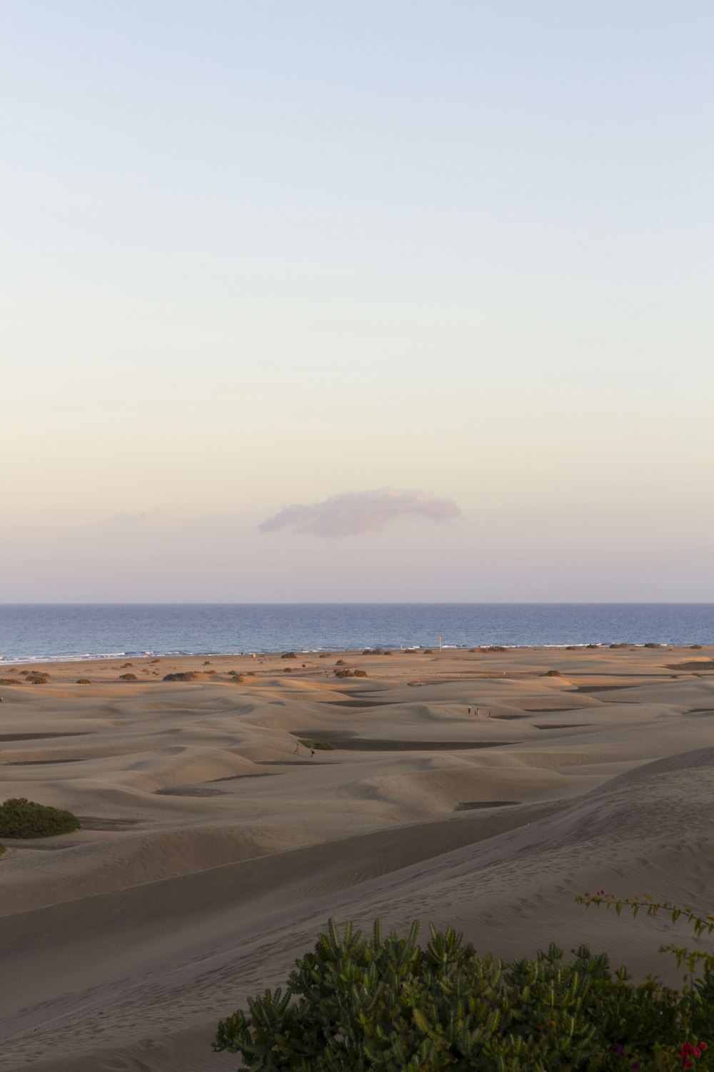 brown sand near body of water during daytime