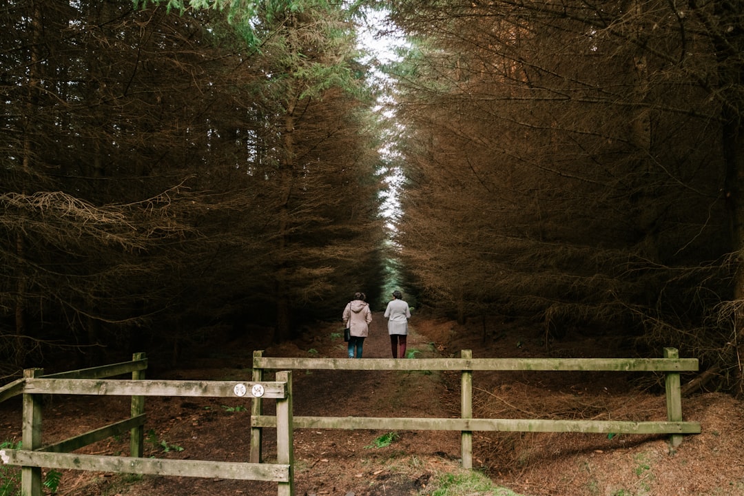 woman in white coat standing on brown wooden bridge surrounded by trees during daytime